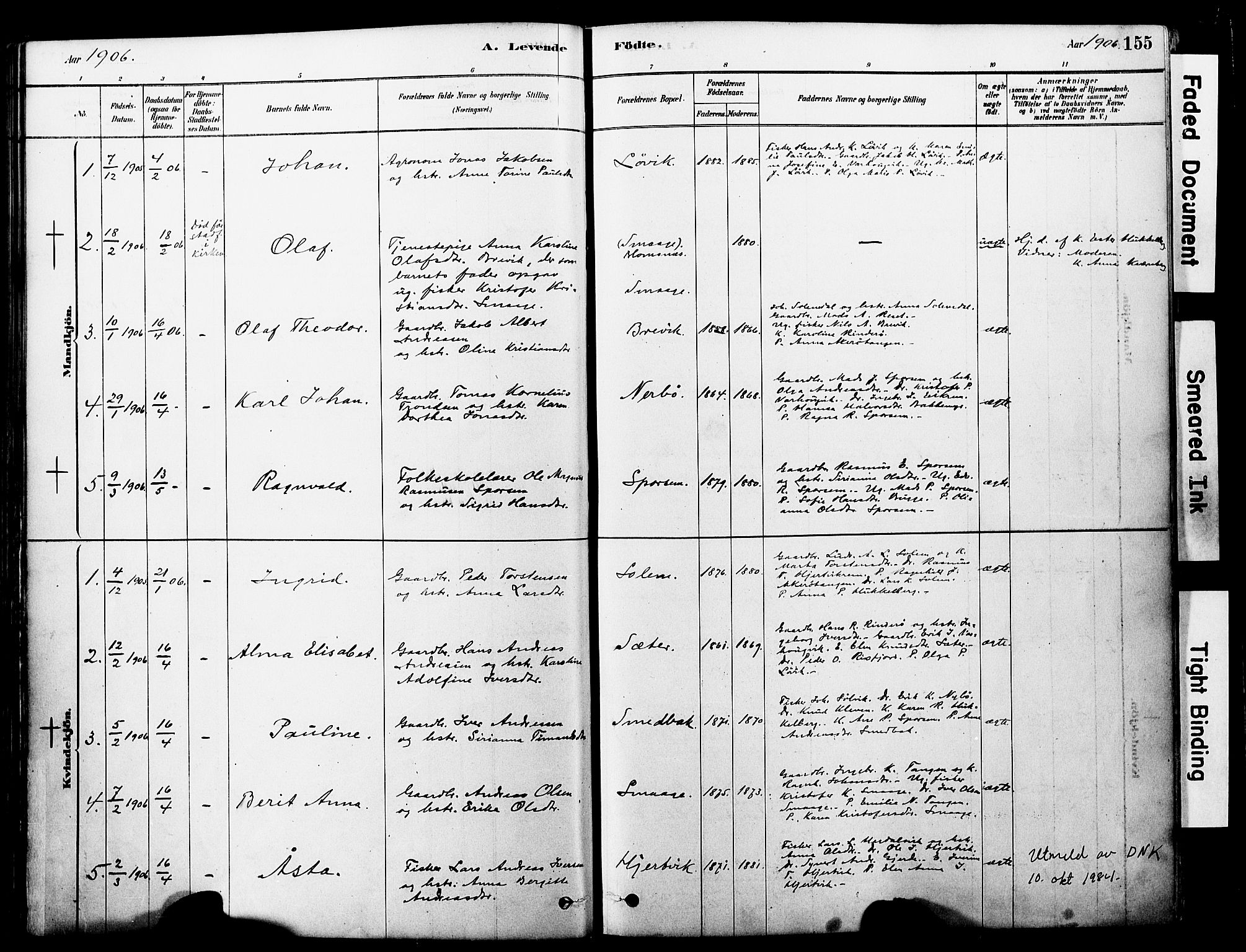 Ministerialprotokoller, klokkerbøker og fødselsregistre - Møre og Romsdal, AV/SAT-A-1454/560/L0721: Ministerialbok nr. 560A05, 1878-1917, s. 155