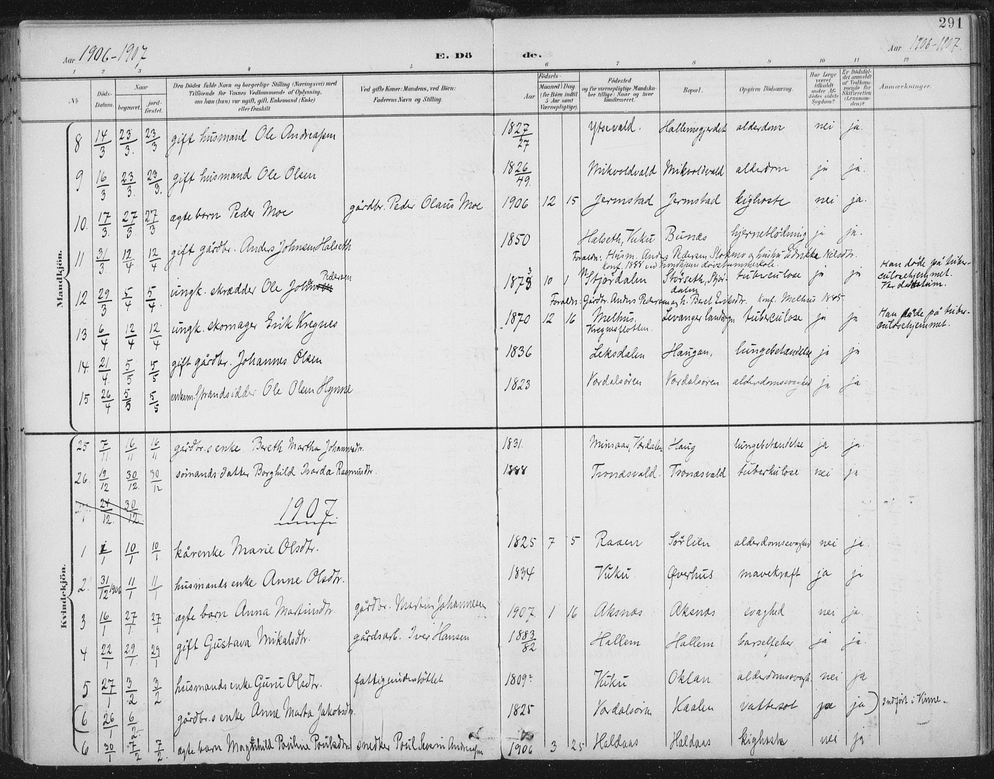 Ministerialprotokoller, klokkerbøker og fødselsregistre - Nord-Trøndelag, AV/SAT-A-1458/723/L0246: Ministerialbok nr. 723A15, 1900-1917, s. 291