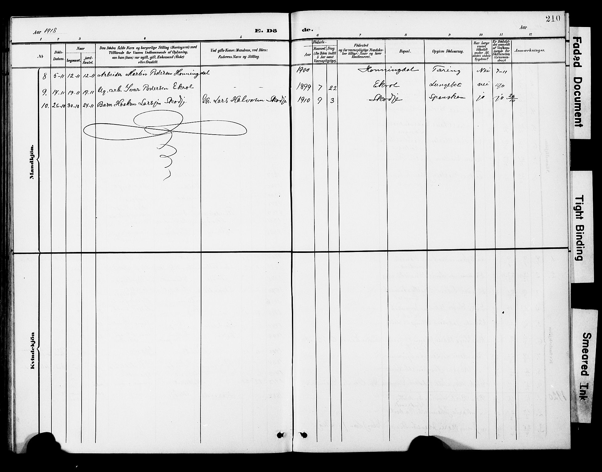 Ministerialprotokoller, klokkerbøker og fødselsregistre - Møre og Romsdal, AV/SAT-A-1454/524/L0366: Klokkerbok nr. 524C07, 1900-1931, s. 210