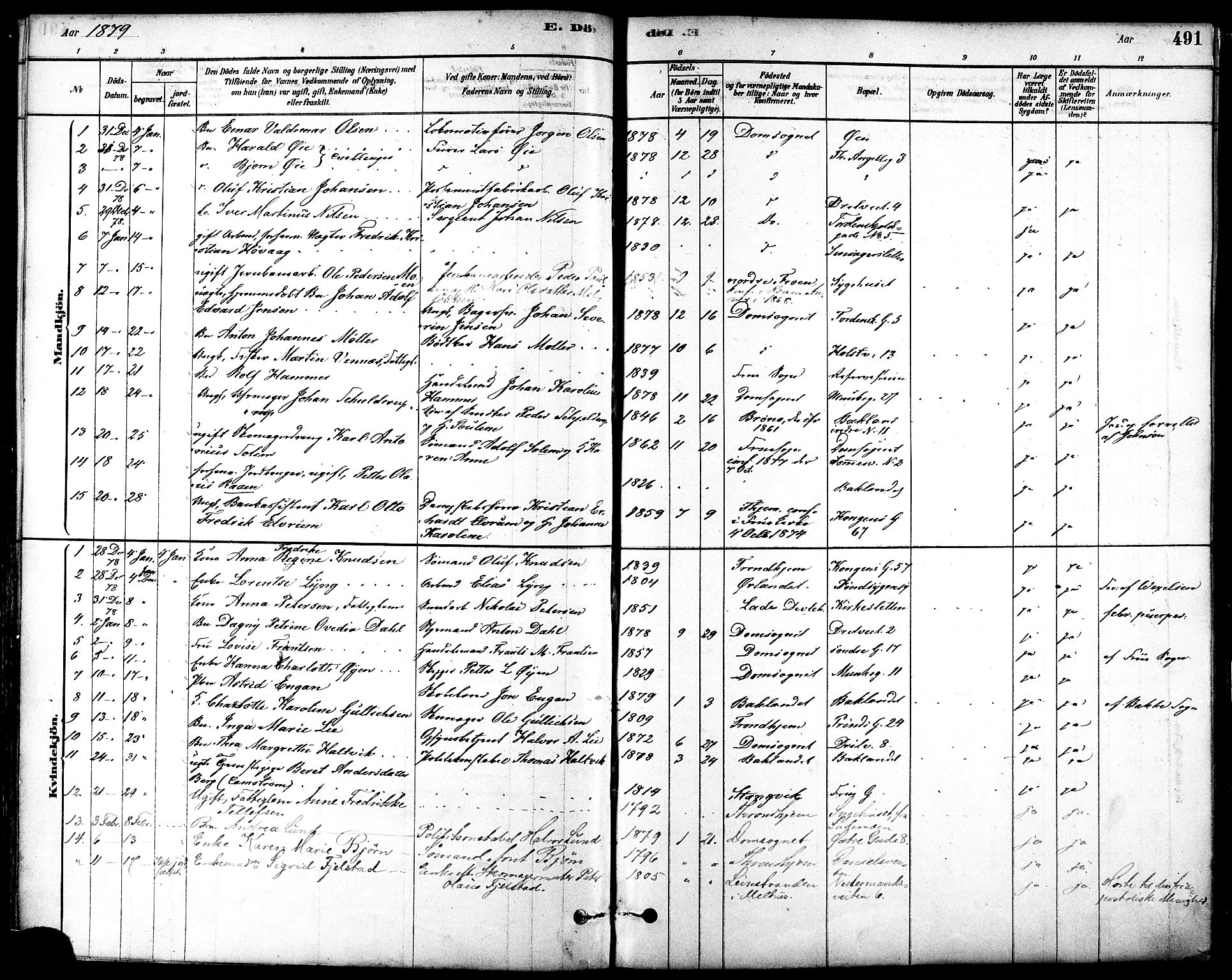 Ministerialprotokoller, klokkerbøker og fødselsregistre - Sør-Trøndelag, SAT/A-1456/601/L0058: Ministerialbok nr. 601A26, 1877-1891, s. 491