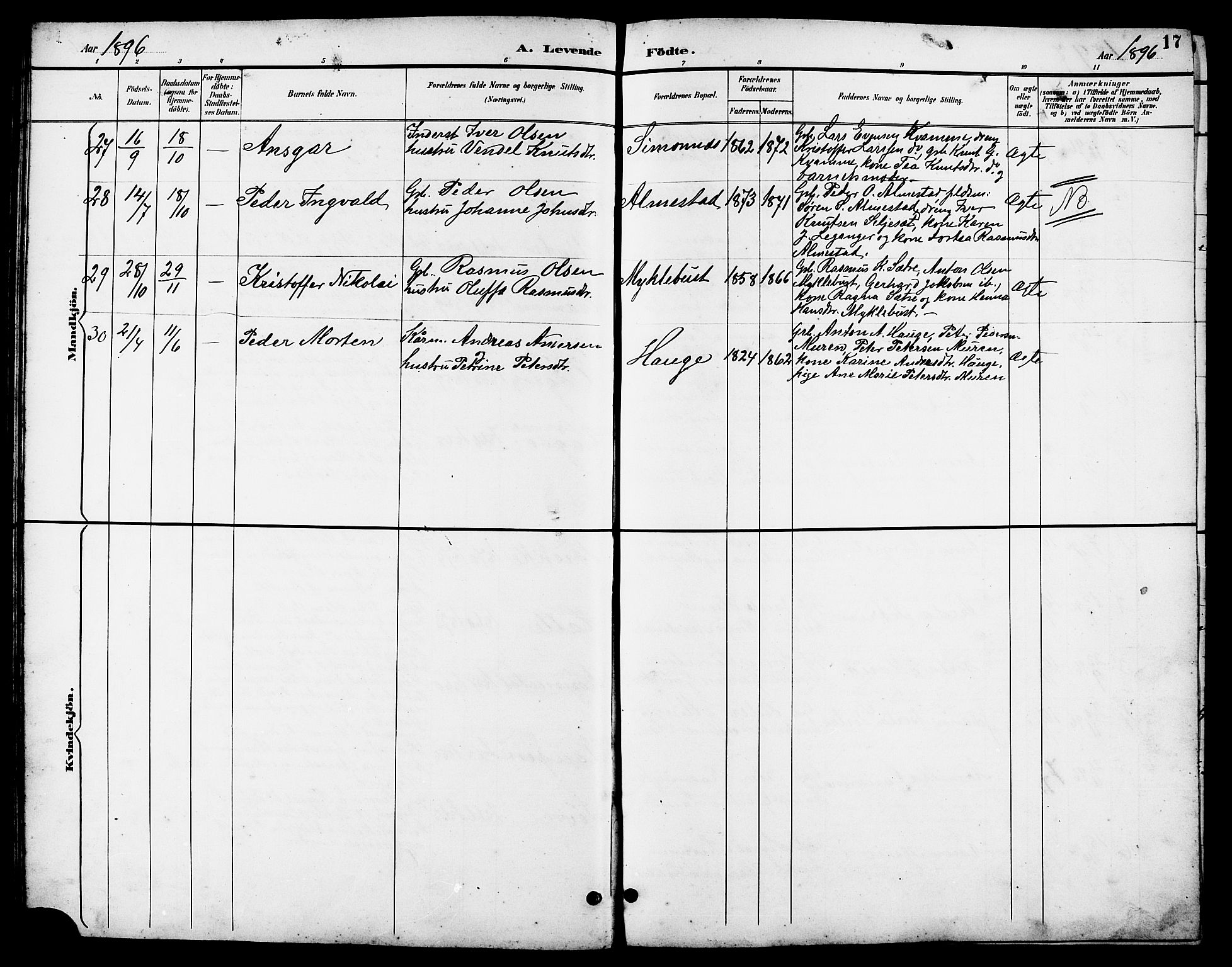 Ministerialprotokoller, klokkerbøker og fødselsregistre - Møre og Romsdal, AV/SAT-A-1454/503/L0049: Klokkerbok nr. 503C04, 1894-1915, s. 17