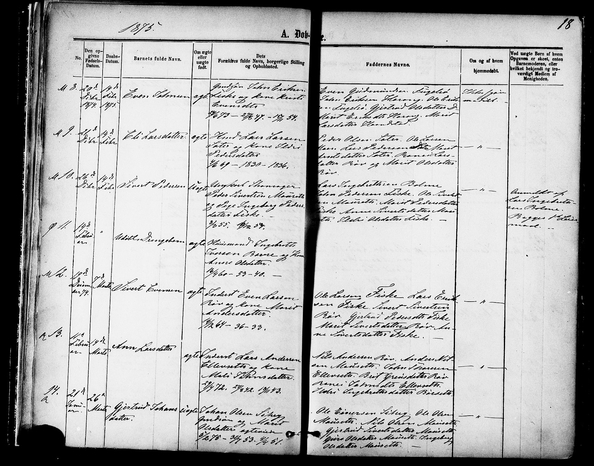 Ministerialprotokoller, klokkerbøker og fødselsregistre - Møre og Romsdal, AV/SAT-A-1454/595/L1046: Ministerialbok nr. 595A08, 1874-1884, s. 18