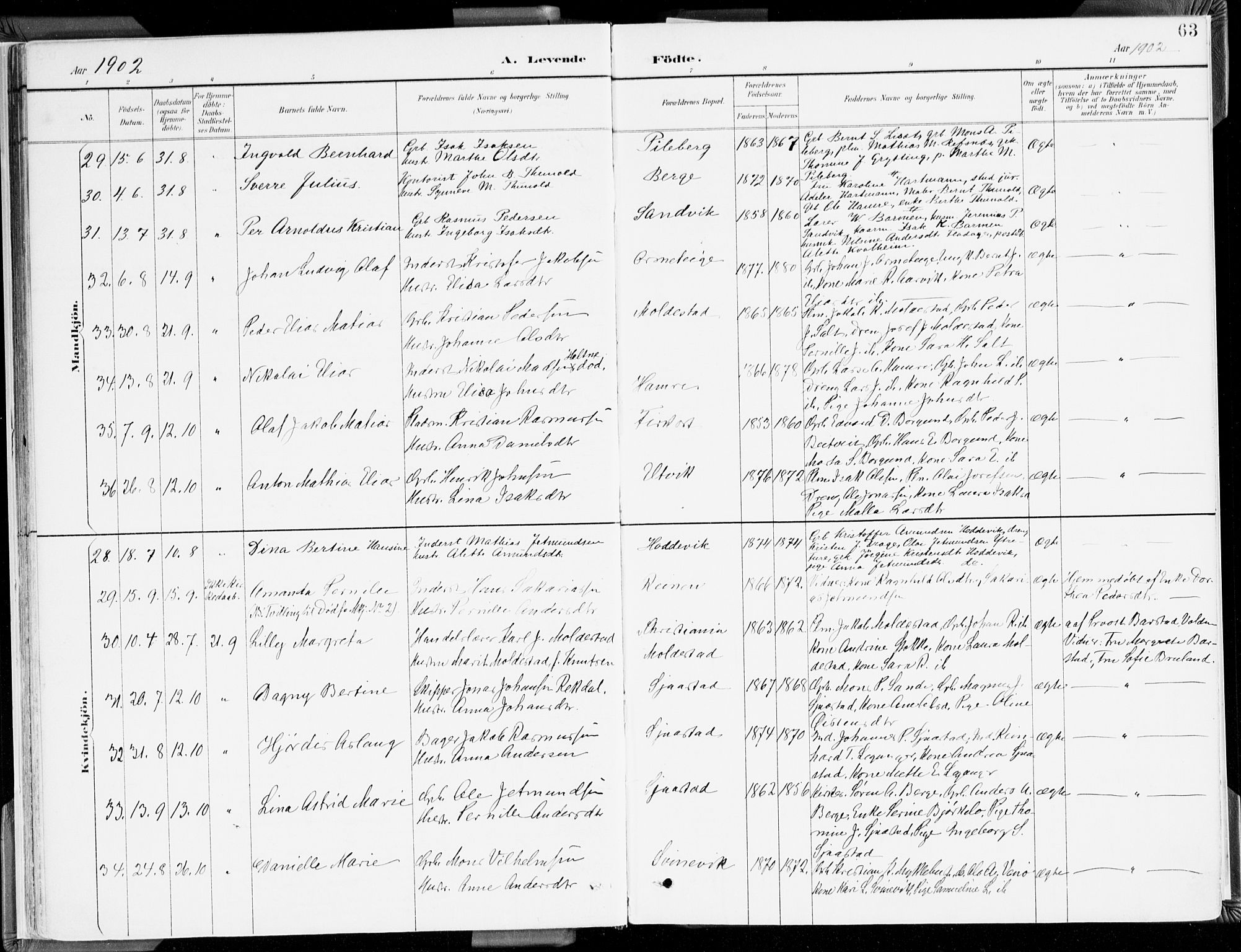 Selje sokneprestembete, AV/SAB-A-99938/H/Ha/Haa/Haab: Ministerialbok nr. B 2, 1891-1907, s. 63