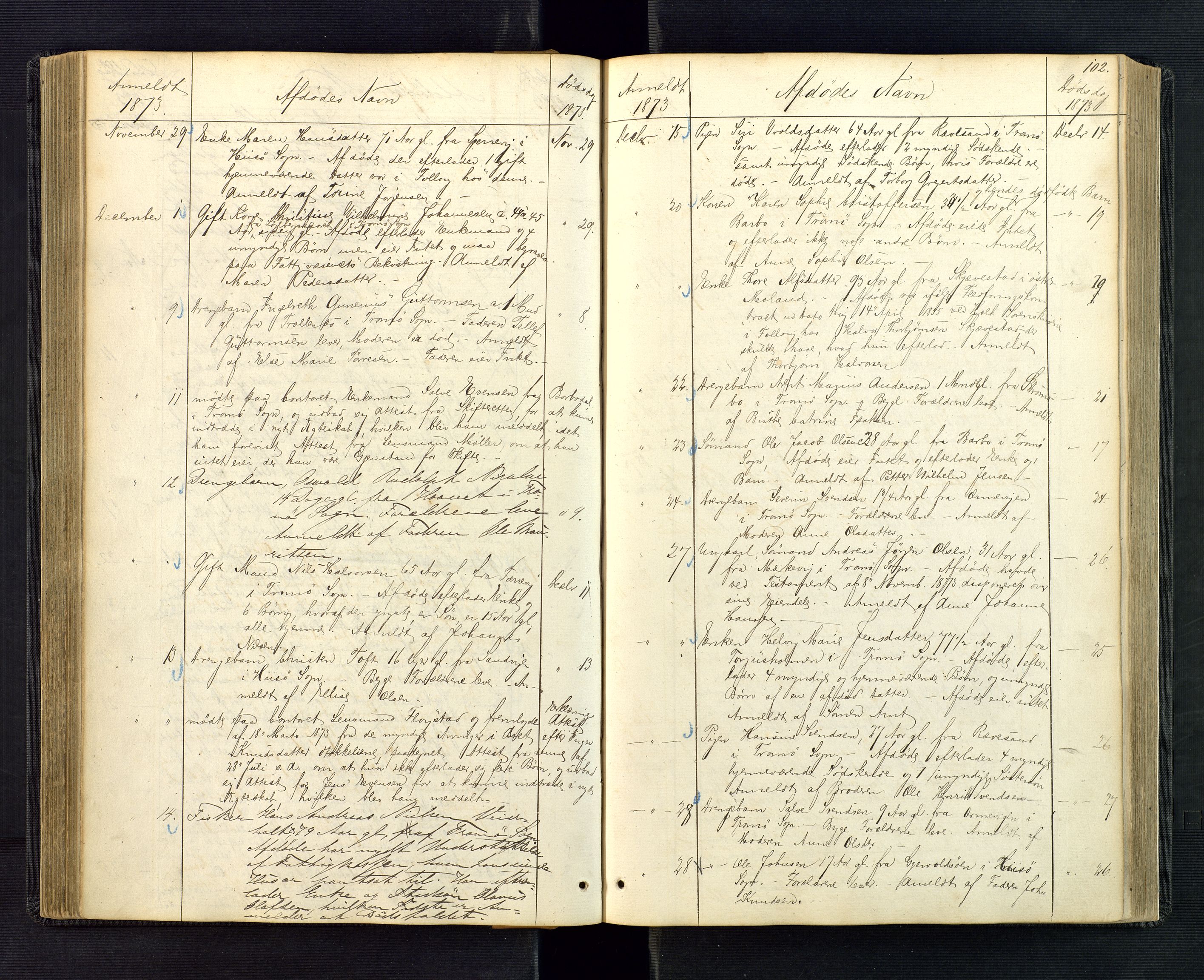 Nedenes sorenskriveri, AV/SAK-1221-0006/H/Ha/L0002: Dødsfallsfortegnelse nr 2, 1863-1889, s. 102