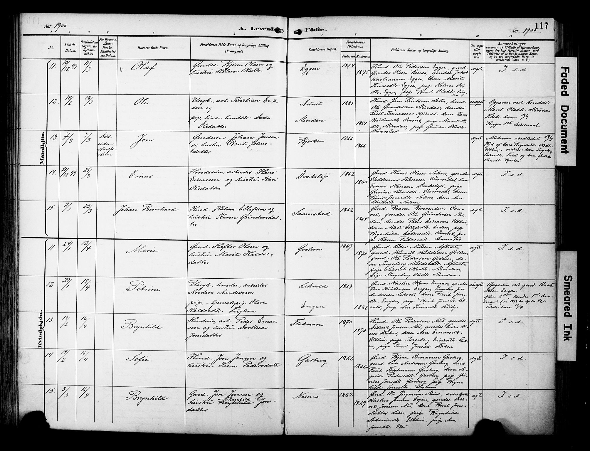 Ministerialprotokoller, klokkerbøker og fødselsregistre - Sør-Trøndelag, SAT/A-1456/695/L1149: Ministerialbok nr. 695A09, 1891-1902, s. 117