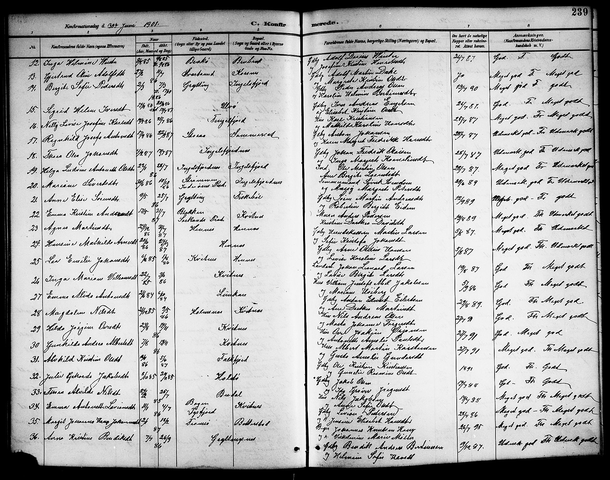 Ministerialprotokoller, klokkerbøker og fødselsregistre - Nordland, AV/SAT-A-1459/888/L1268: Klokkerbok nr. 888C06, 1891-1908, s. 239