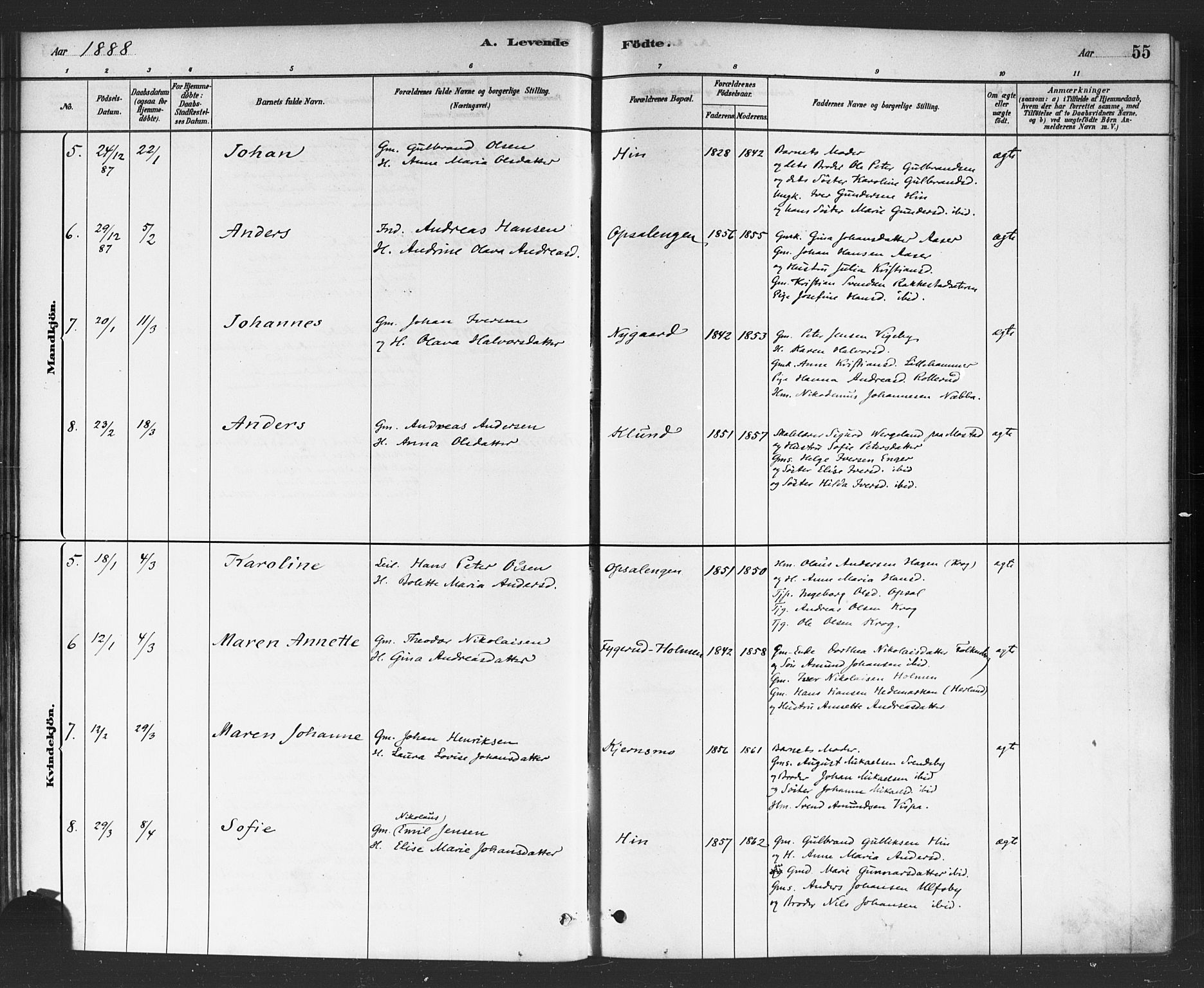 Rødenes prestekontor Kirkebøker, AV/SAO-A-2005/F/Fa/L0009: Ministerialbok nr. I 9, 1880-1889, s. 55