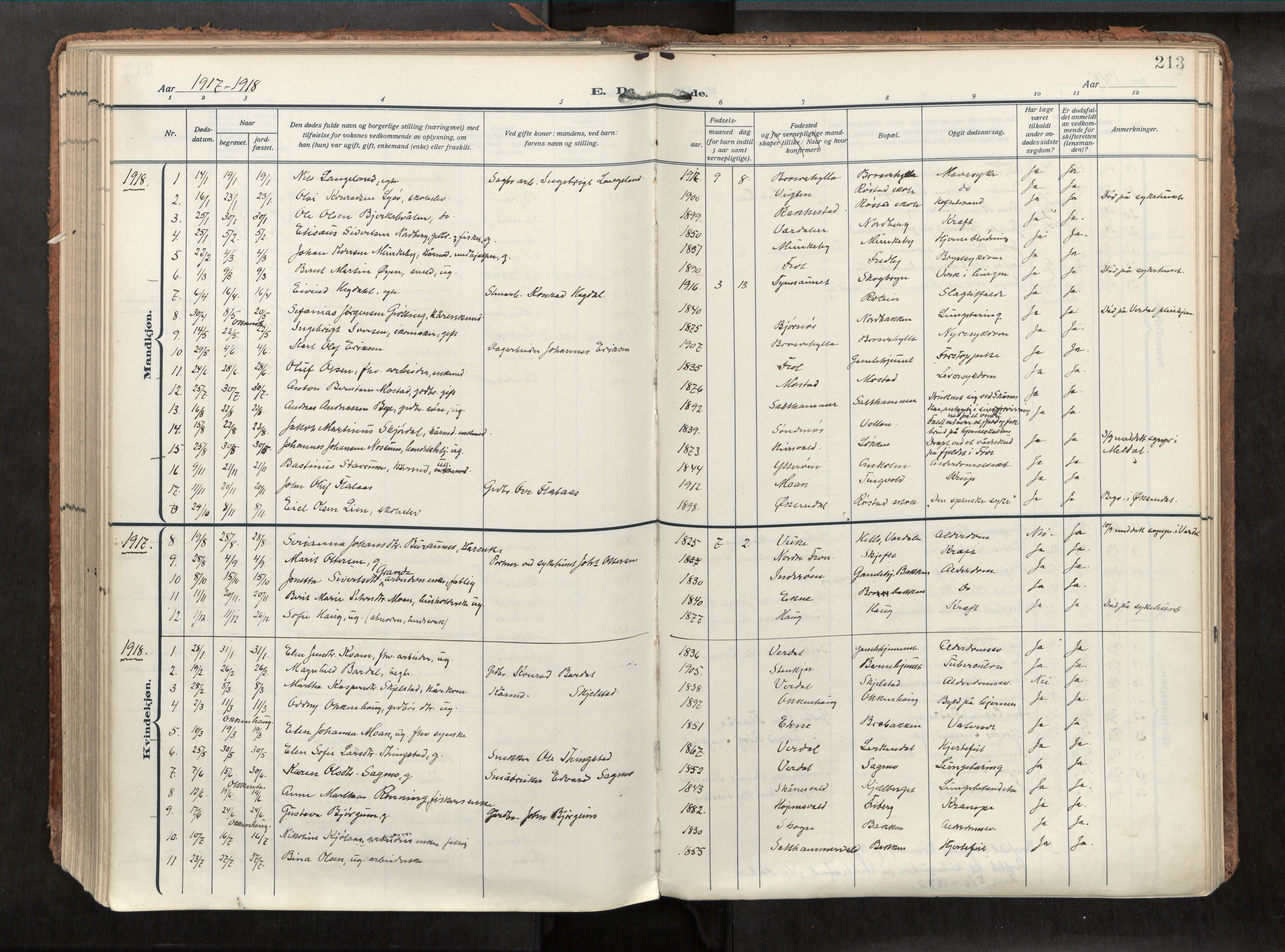 Levanger sokneprestkontor, AV/SAT-A-1301/2/H/Haa/L0002: Ministerialbok nr. 2, 1912-1935, s. 213