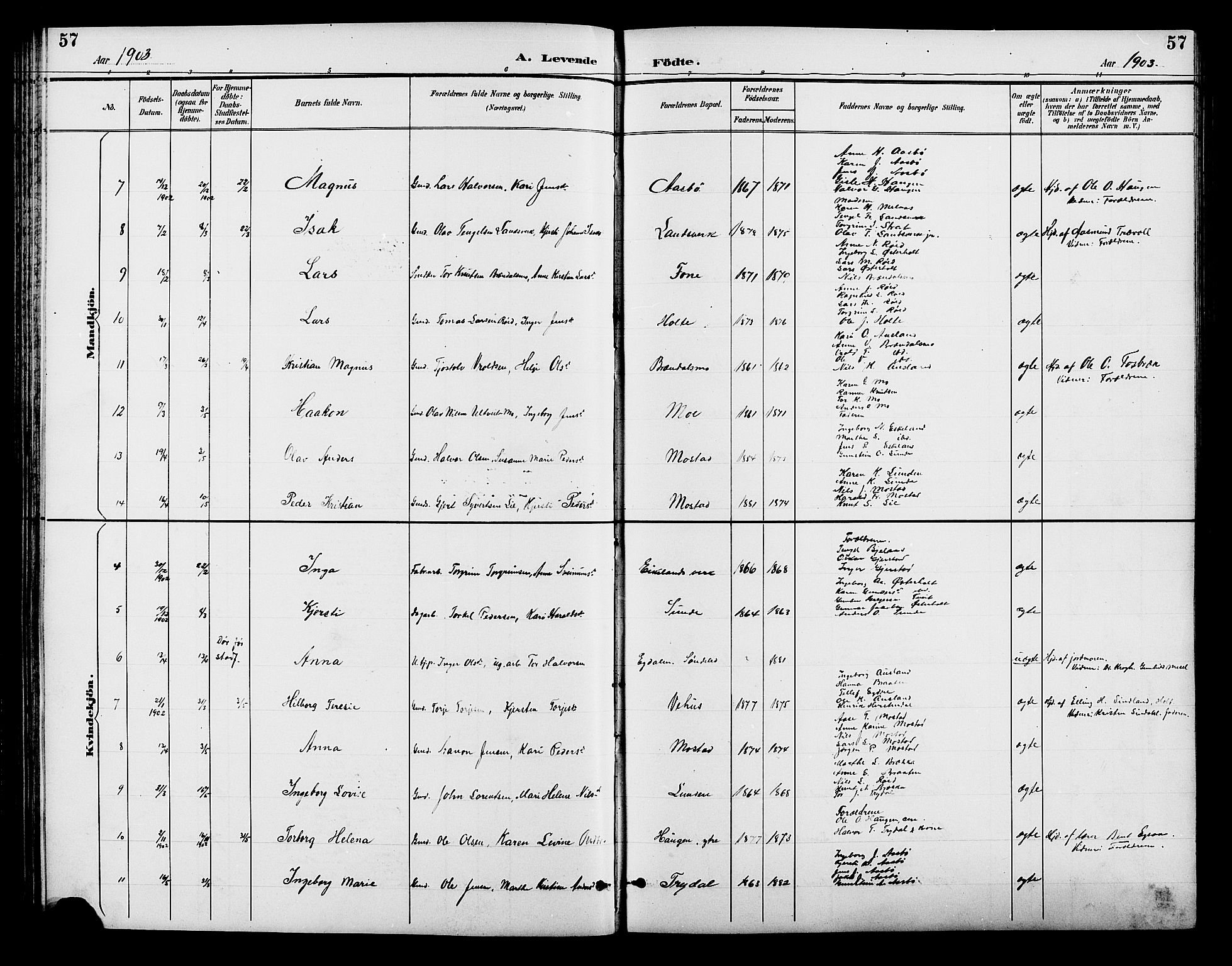 Gjerstad sokneprestkontor, AV/SAK-1111-0014/F/Fb/Fba/L0007: Klokkerbok nr. B 7, 1891-1908, s. 57