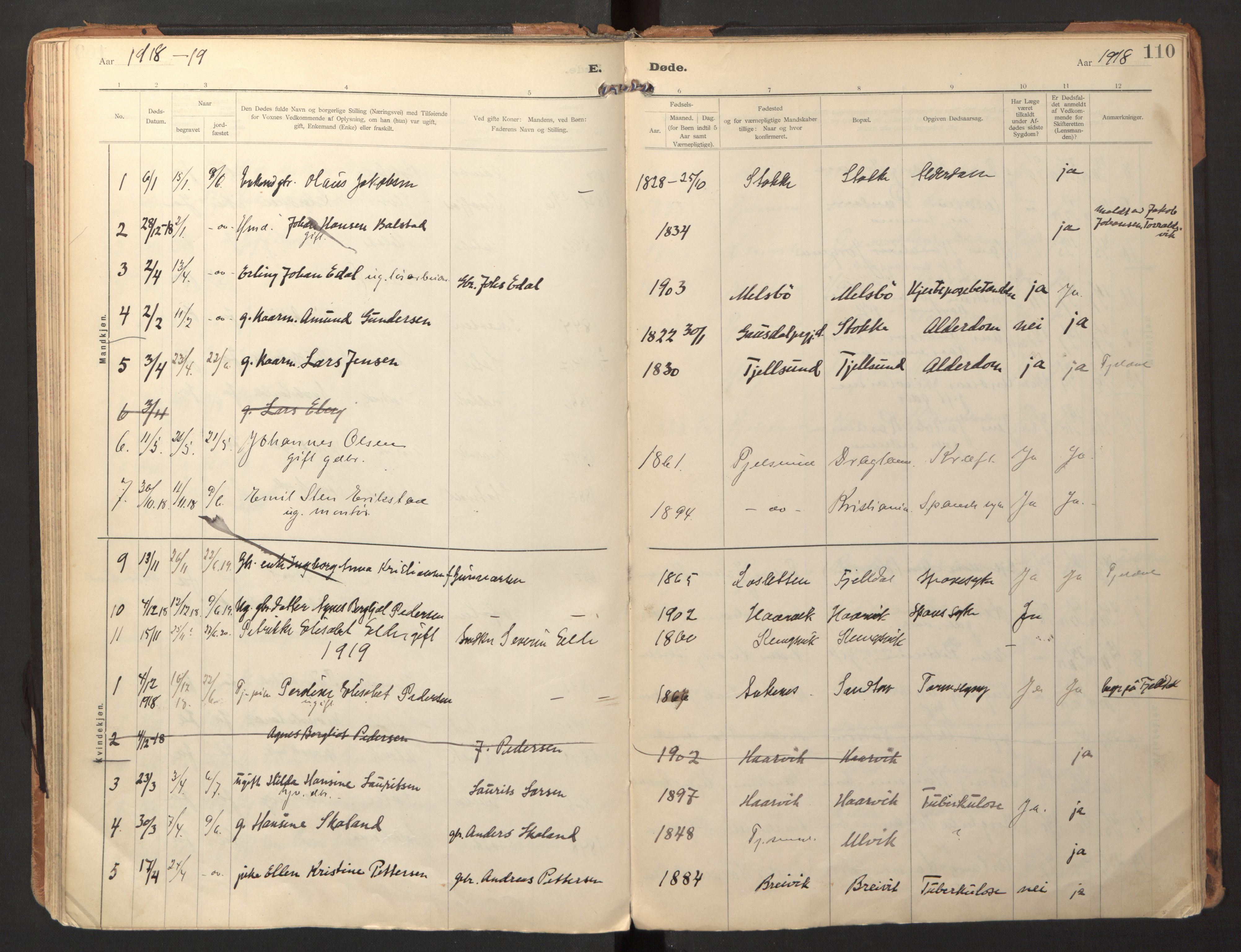 Ministerialprotokoller, klokkerbøker og fødselsregistre - Nordland, AV/SAT-A-1459/865/L0928: Ministerialbok nr. 865A06, 1913-1926, s. 110