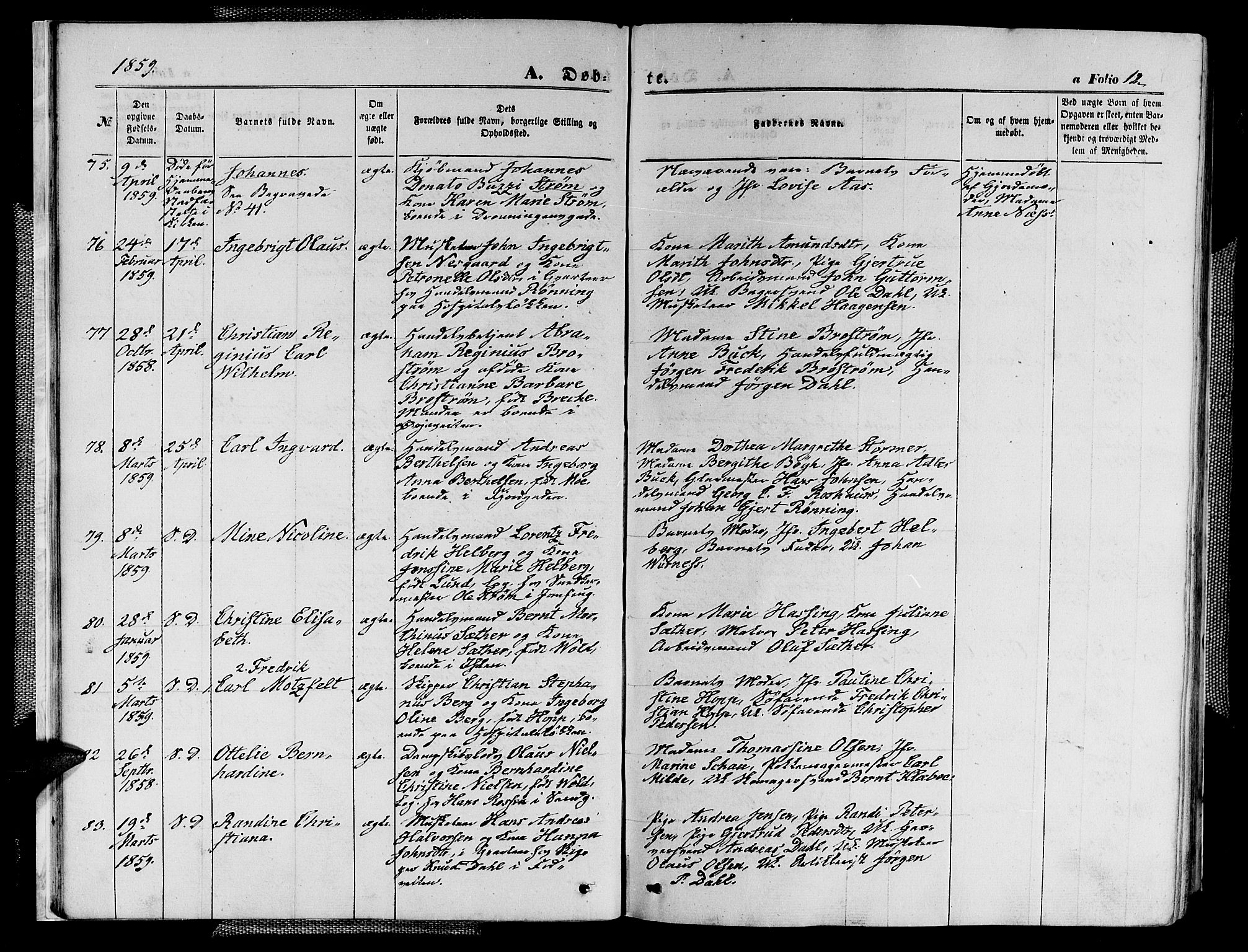 Ministerialprotokoller, klokkerbøker og fødselsregistre - Sør-Trøndelag, AV/SAT-A-1456/602/L0139: Klokkerbok nr. 602C07, 1859-1864, s. 12
