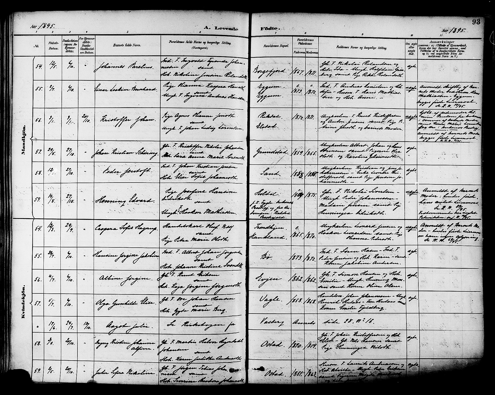 Ministerialprotokoller, klokkerbøker og fødselsregistre - Nordland, AV/SAT-A-1459/880/L1133: Ministerialbok nr. 880A07, 1888-1898, s. 93