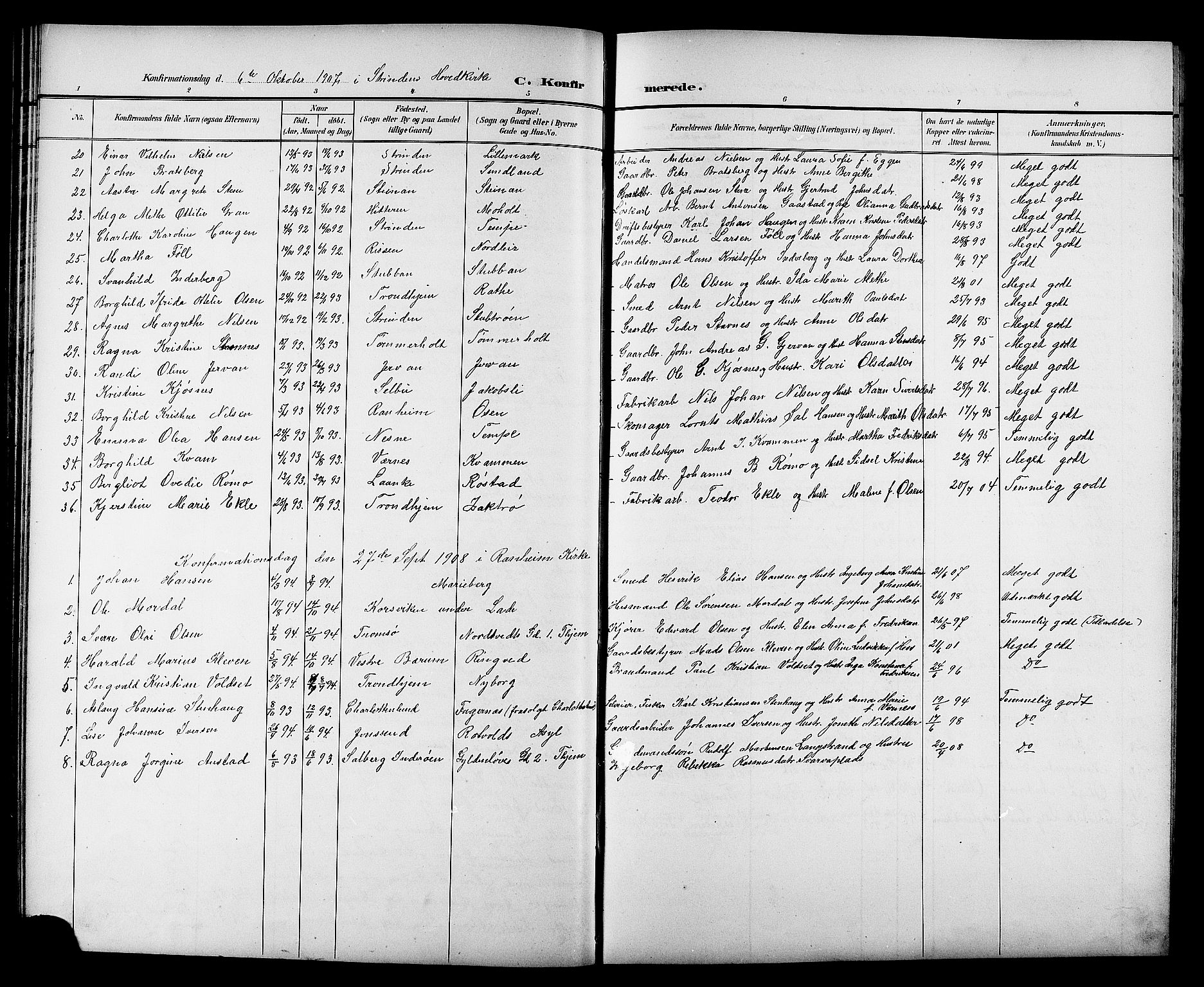 Ministerialprotokoller, klokkerbøker og fødselsregistre - Sør-Trøndelag, AV/SAT-A-1456/606/L0313: Klokkerbok nr. 606C09, 1895-1910