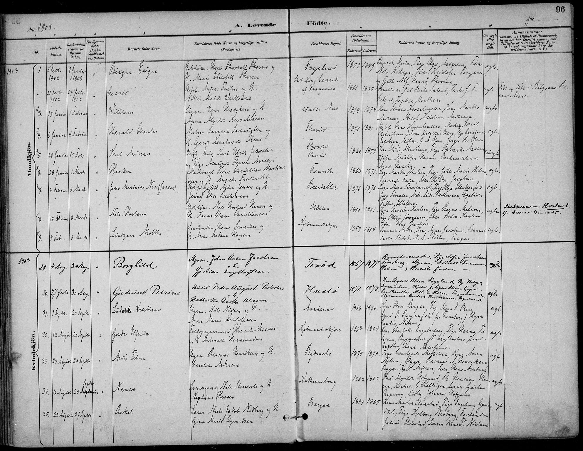 Nøtterøy kirkebøker, AV/SAKO-A-354/F/Fa/L0009: Ministerialbok nr. I 9, 1894-1907, s. 96