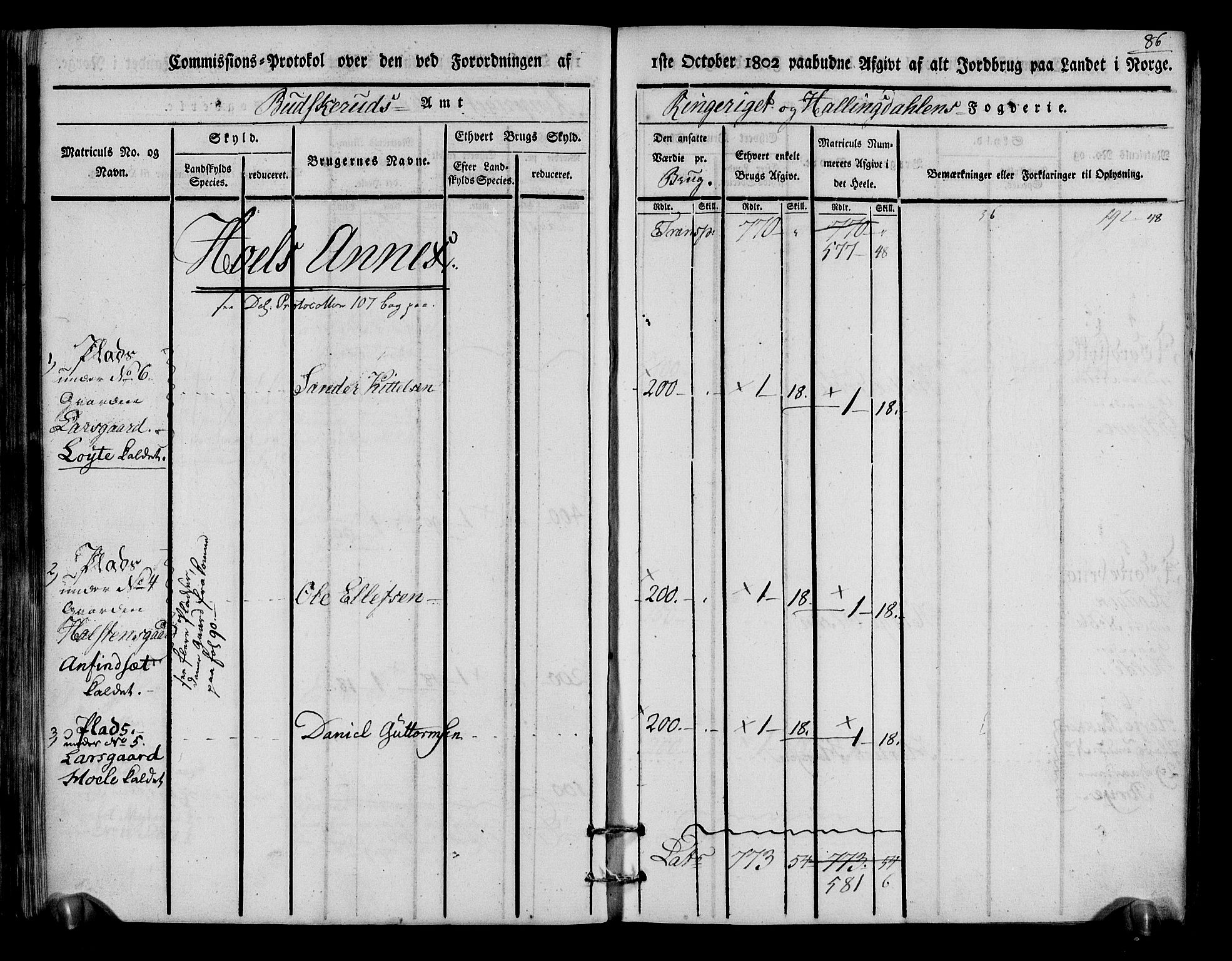 Rentekammeret inntil 1814, Realistisk ordnet avdeling, AV/RA-EA-4070/N/Ne/Nea/L0048: Ringerike og Hallingdal fogderi. Kommisjonsprotokoll for Ål prestegjeld, 1803, s. 90