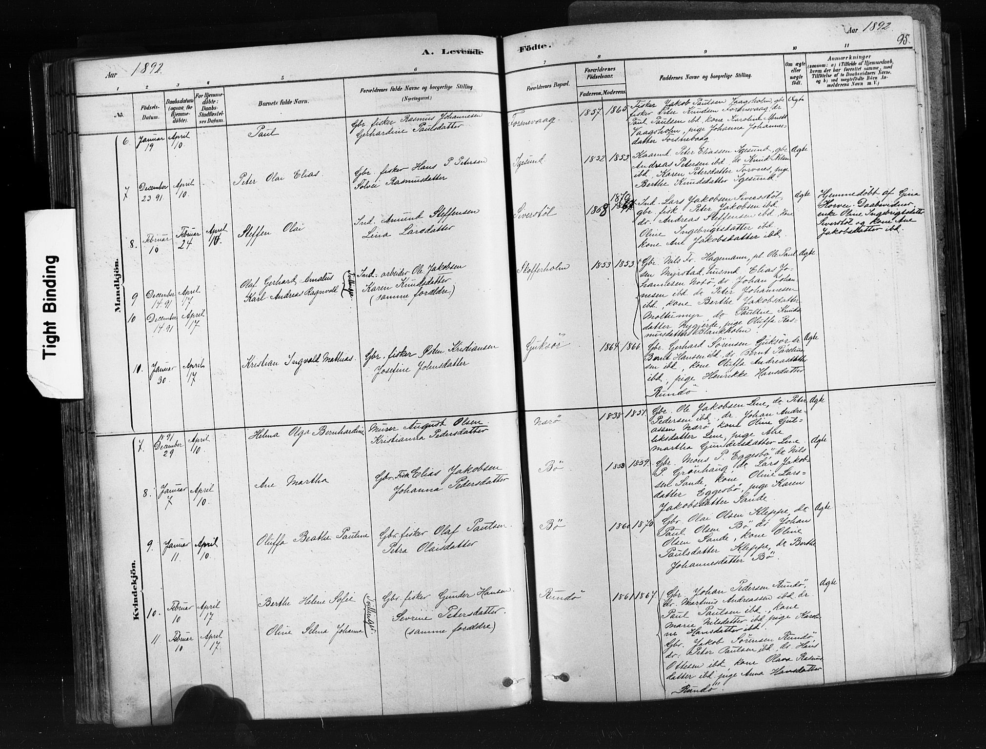 Ministerialprotokoller, klokkerbøker og fødselsregistre - Møre og Romsdal, SAT/A-1454/507/L0073: Ministerialbok nr. 507A08, 1878-1904, s. 95