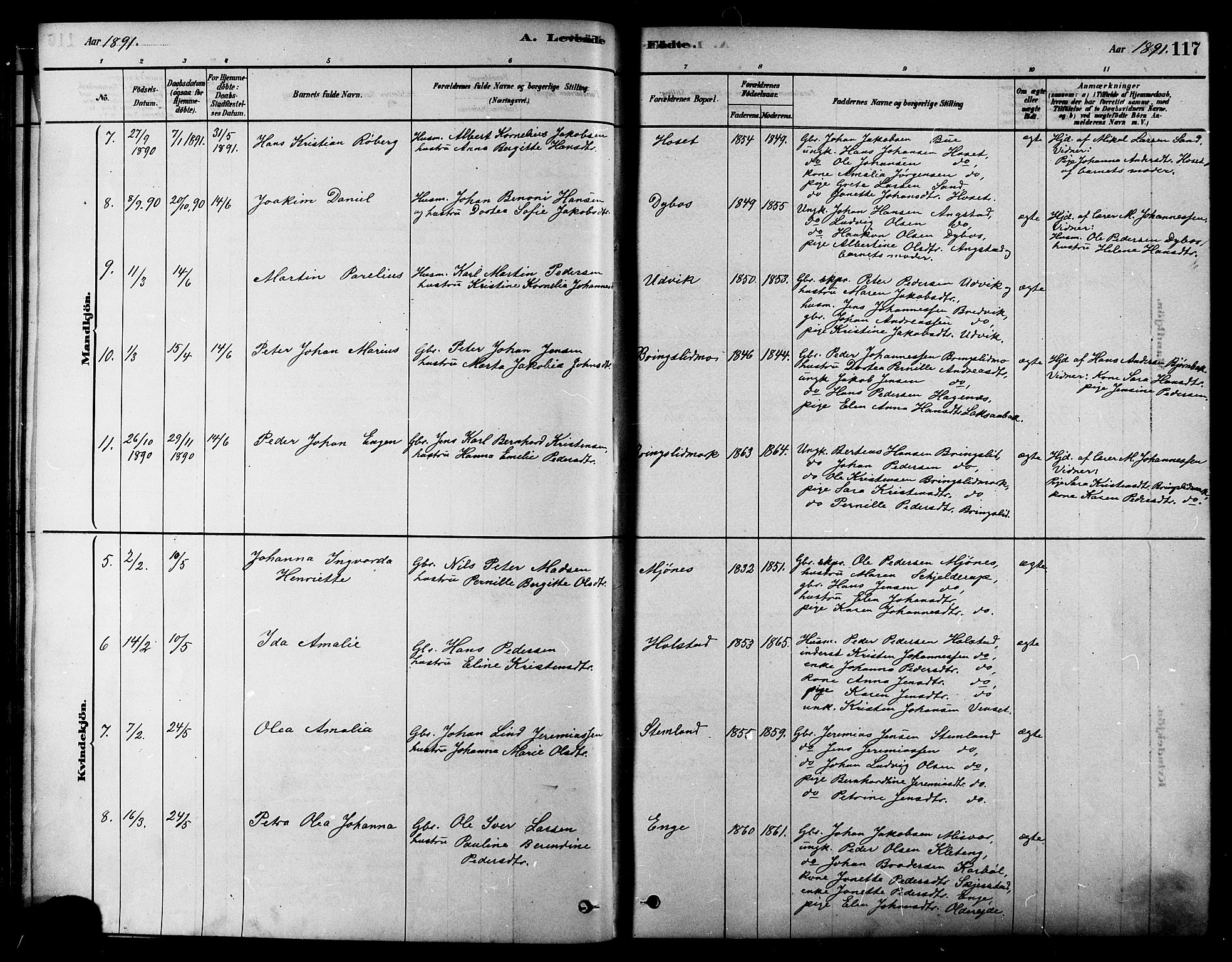 Ministerialprotokoller, klokkerbøker og fødselsregistre - Nordland, AV/SAT-A-1459/852/L0740: Ministerialbok nr. 852A10, 1878-1894, s. 117