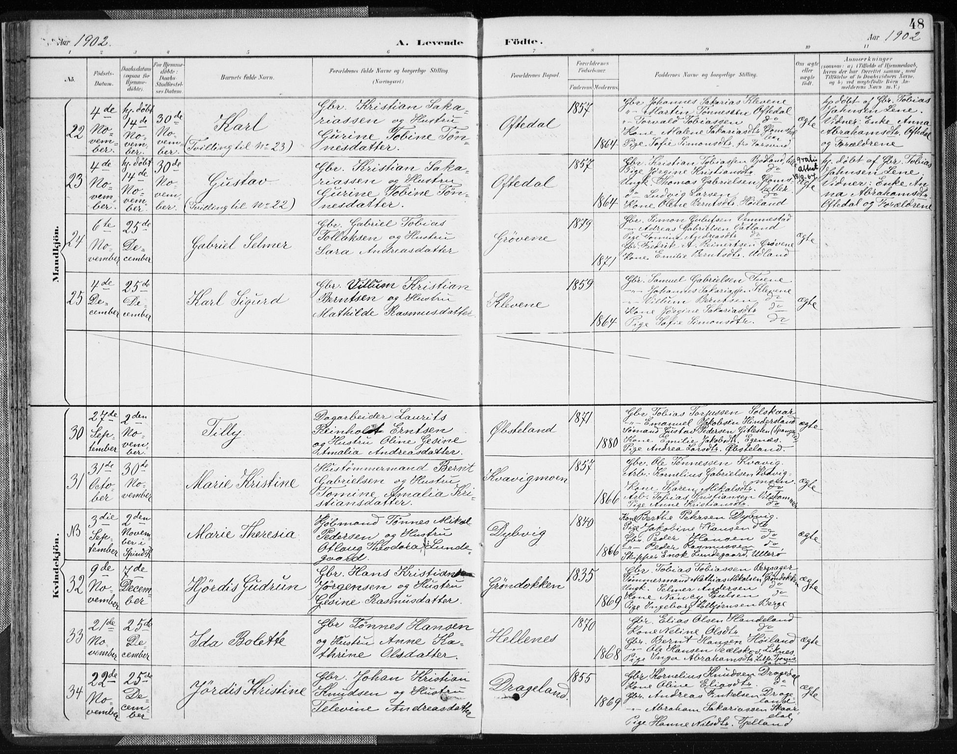 Lyngdal sokneprestkontor, AV/SAK-1111-0029/F/Fa/Fac/L0012: Ministerialbok nr. A 12, 1894-1918, s. 48