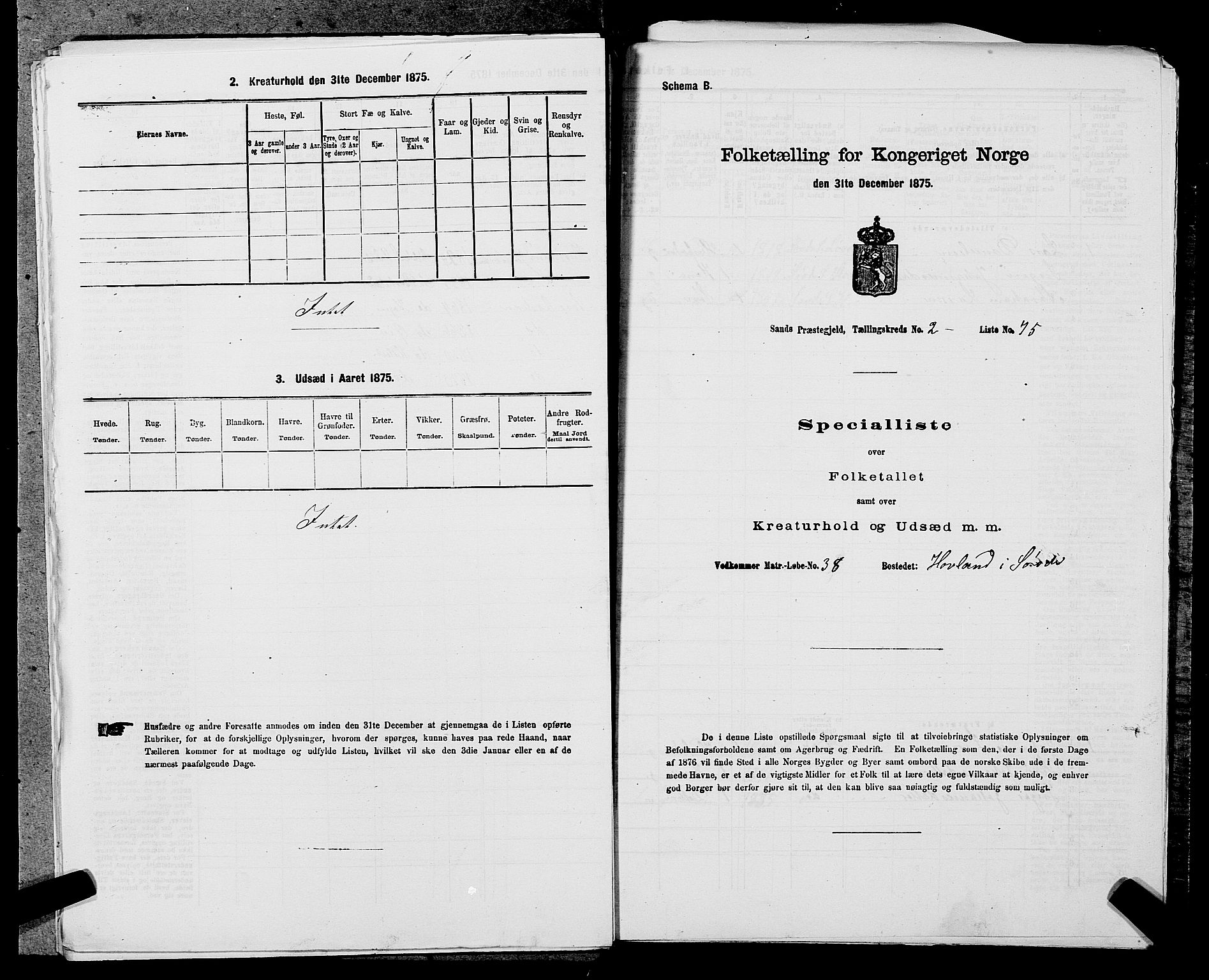 SAST, Folketelling 1875 for 1136P Sand prestegjeld, 1875, s. 999