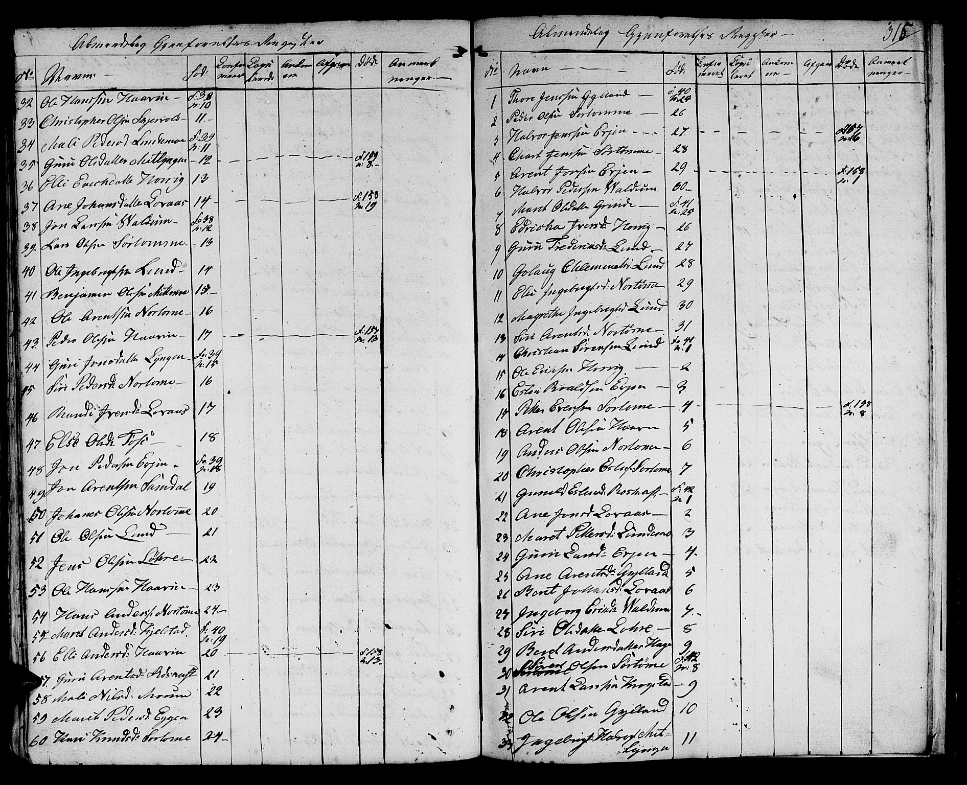 Ministerialprotokoller, klokkerbøker og fødselsregistre - Sør-Trøndelag, SAT/A-1456/692/L1108: Klokkerbok nr. 692C03, 1816-1833, s. 315