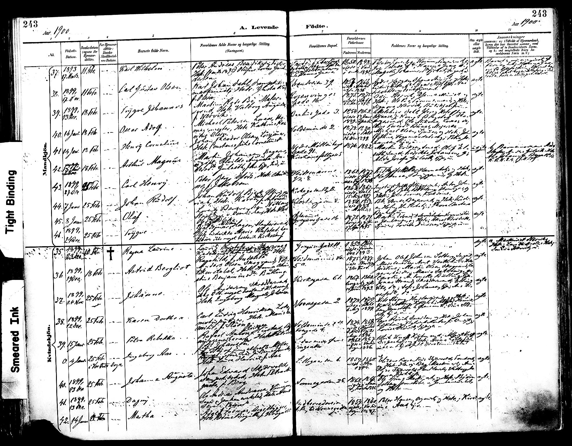 Ministerialprotokoller, klokkerbøker og fødselsregistre - Sør-Trøndelag, SAT/A-1456/604/L0197: Ministerialbok nr. 604A18, 1893-1900, s. 243