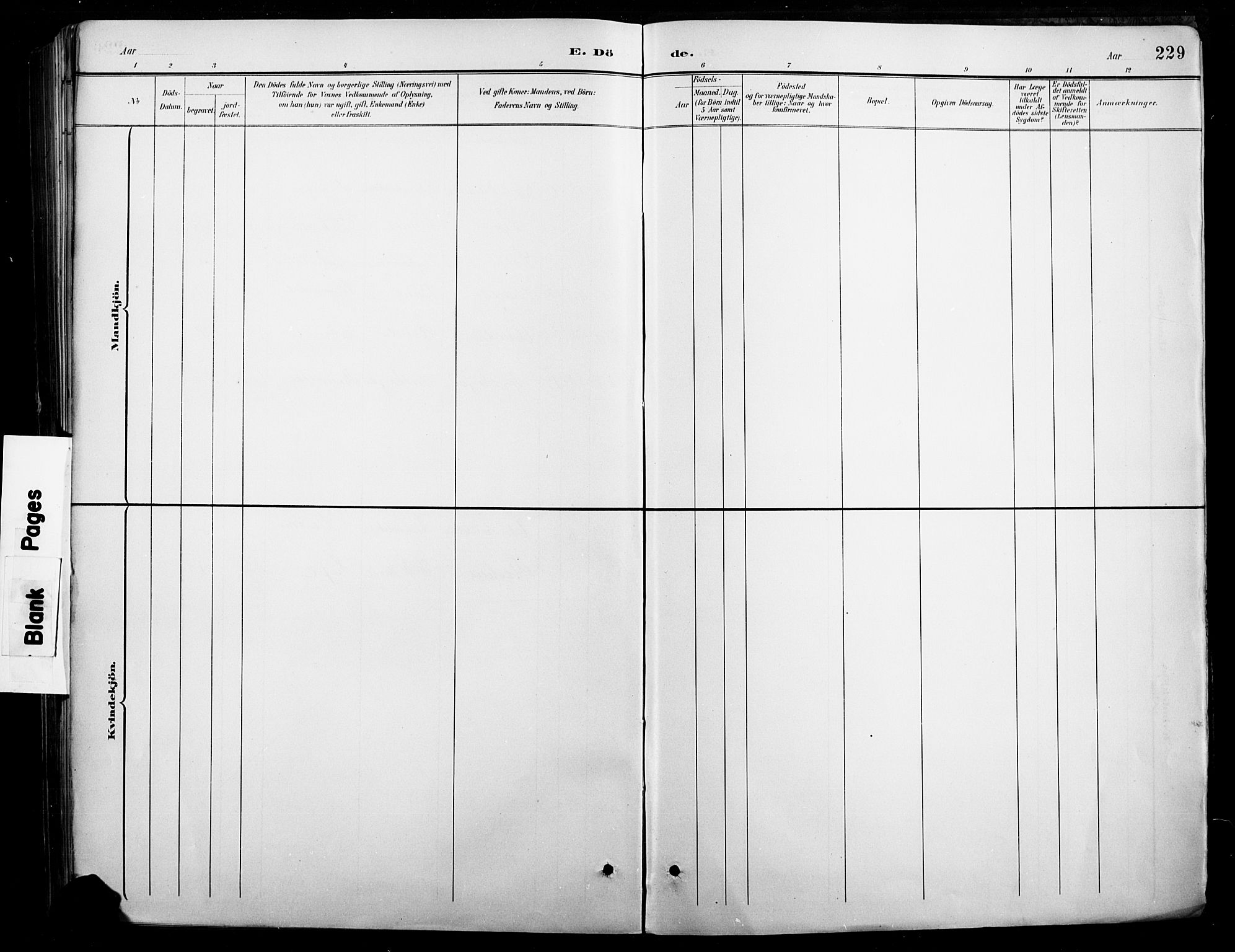 Nord-Odal prestekontor, AV/SAH-PREST-032/H/Ha/Hab/L0003: Klokkerbok nr. 3, 1895-1923, s. 229