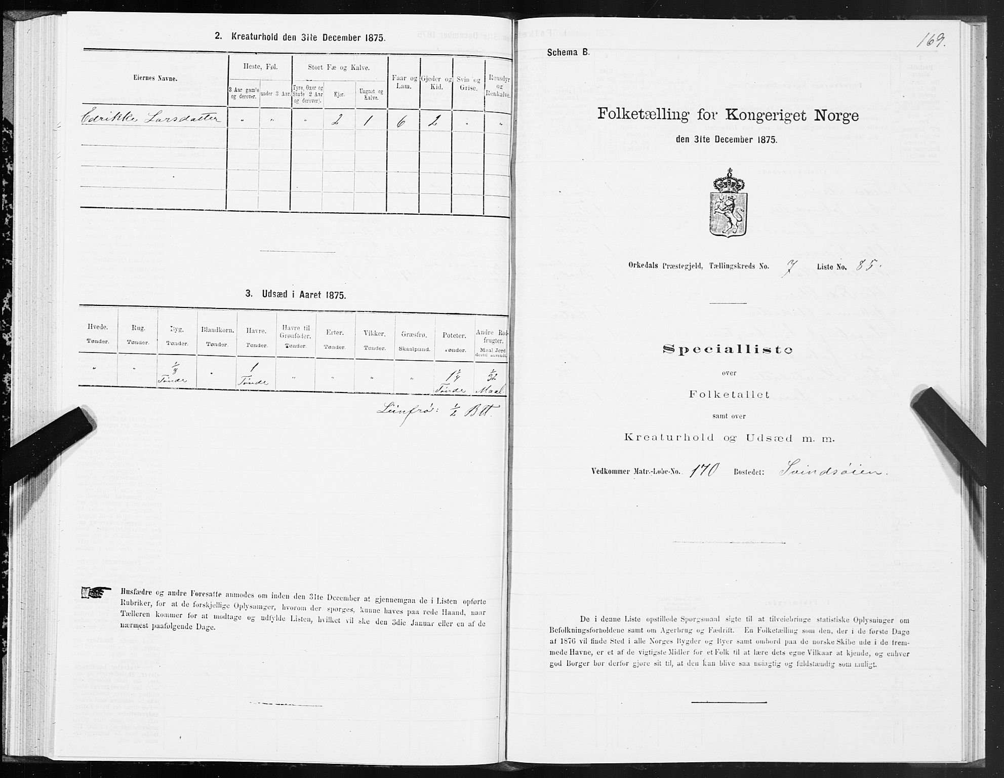 SAT, Folketelling 1875 for 1638P Orkdal prestegjeld, 1875, s. 4169