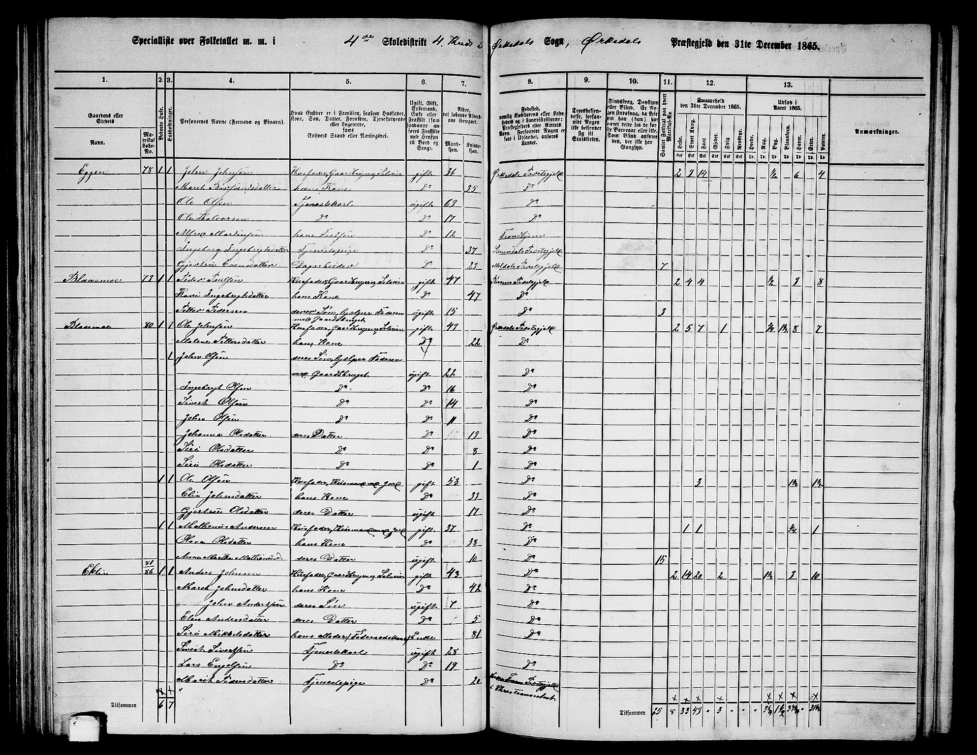 RA, Folketelling 1865 for 1638P Orkdal prestegjeld, 1865, s. 115