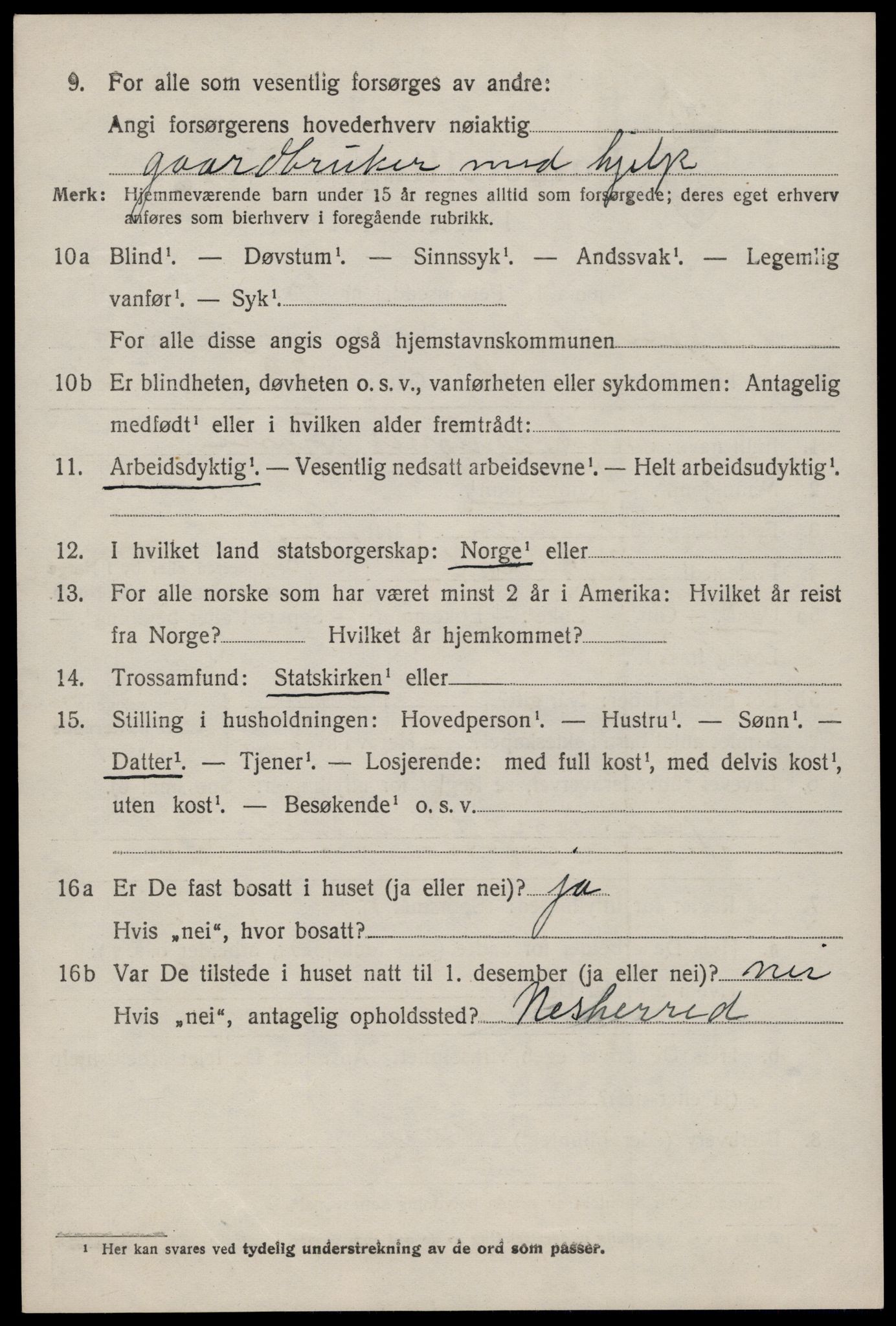 SAKO, Folketelling 1920 for 0830 Nissedal herred, 1920, s. 2004