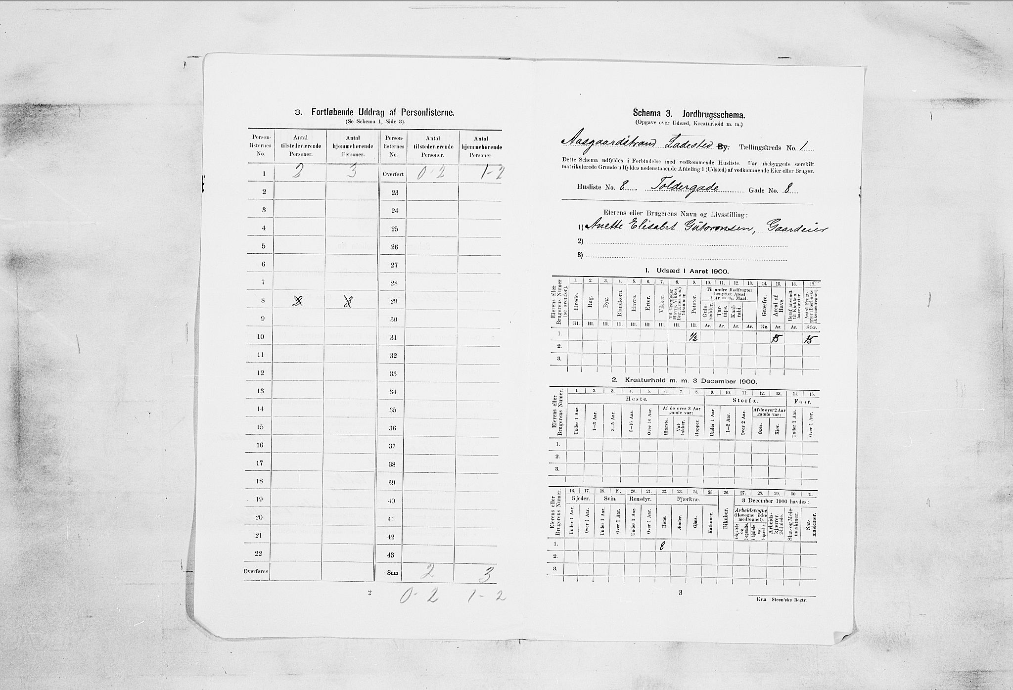 RA, Folketelling 1900 for 0704 Åsgårdstrand ladested, 1900, s. 43