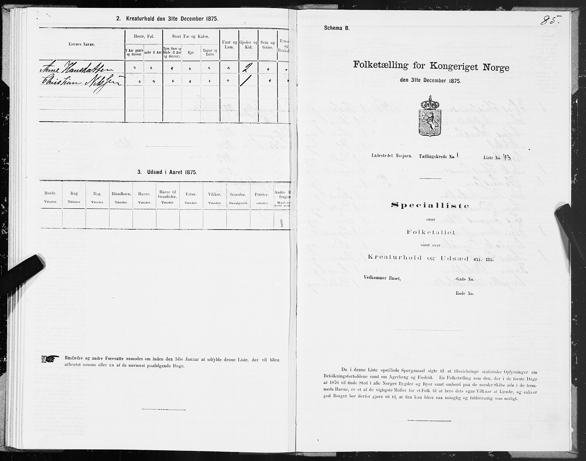 SAT, Folketelling 1875 for 1802B Vefsn prestegjeld, Mosjøen ladested, 1875, s. 85