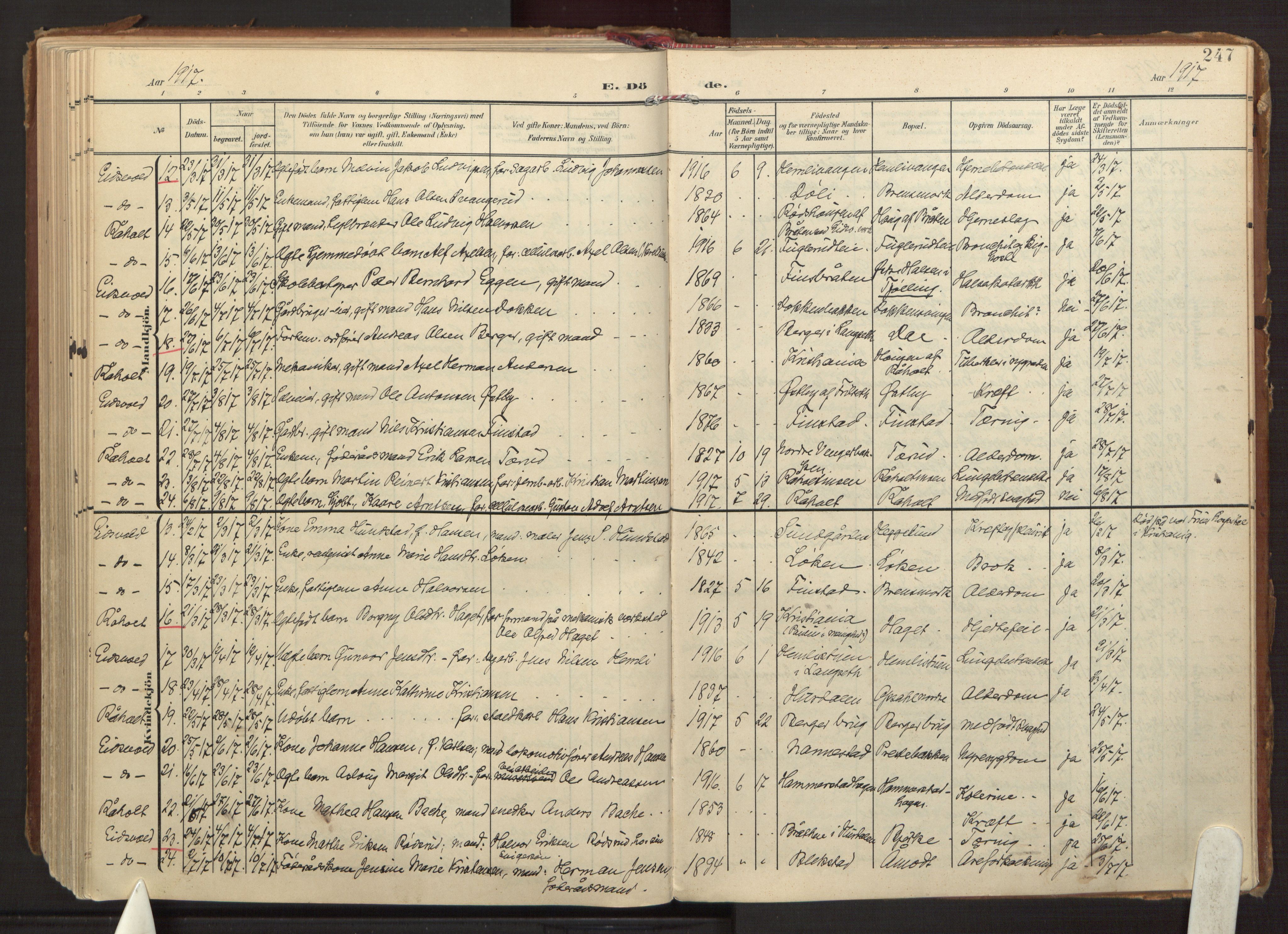 Eidsvoll prestekontor Kirkebøker, AV/SAO-A-10888/F/Fa/L0008: Ministerialbok nr. I 8, 1908-1920, s. 247