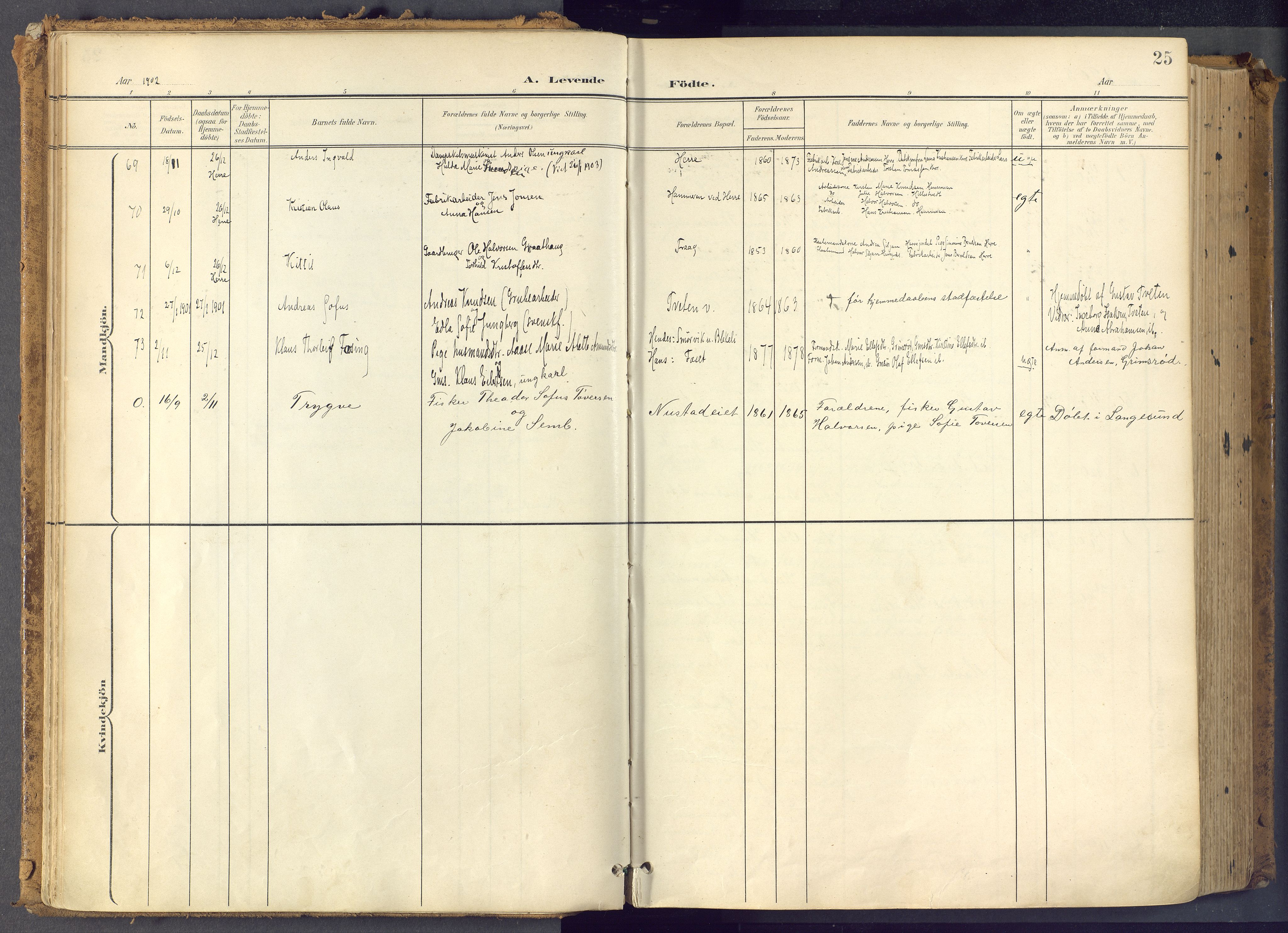 Bamble kirkebøker, AV/SAKO-A-253/F/Fa/L0009: Ministerialbok nr. I 9, 1901-1917, s. 25