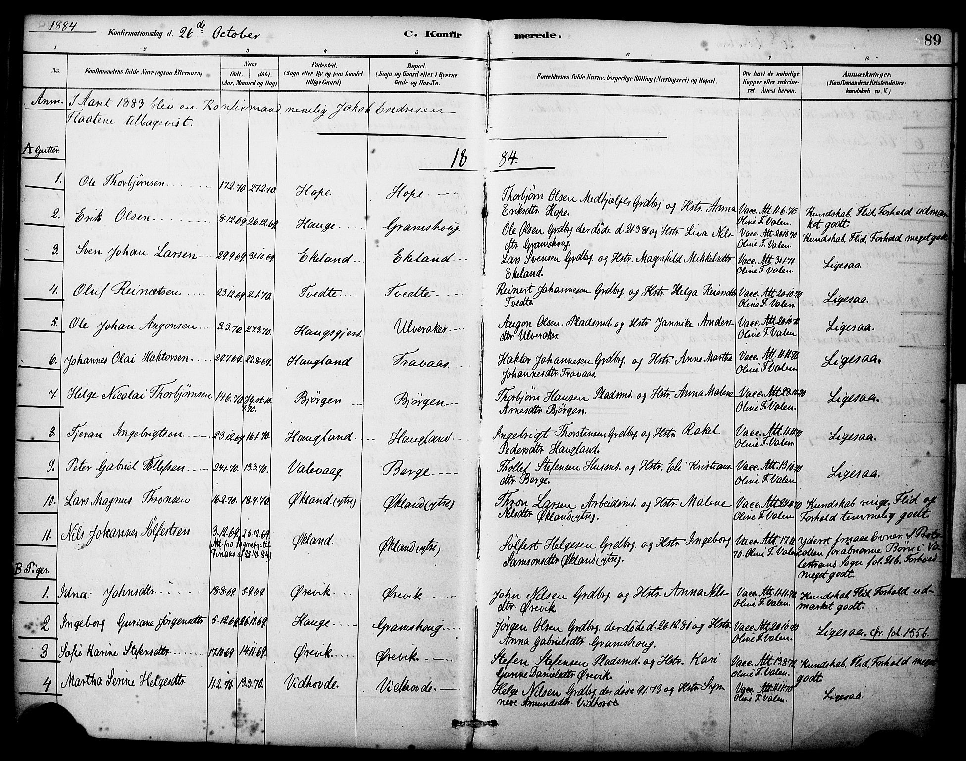 Sveio Sokneprestembete, AV/SAB-A-78501/H/Haa: Ministerialbok nr. C 2, 1881-1899, s. 89