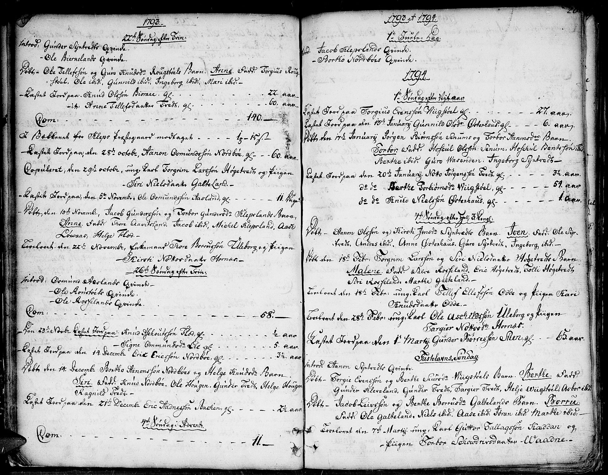 Evje sokneprestkontor, AV/SAK-1111-0008/F/Fa/Faa/L0003: Ministerialbok nr. A 3, 1787-1816, s. 20
