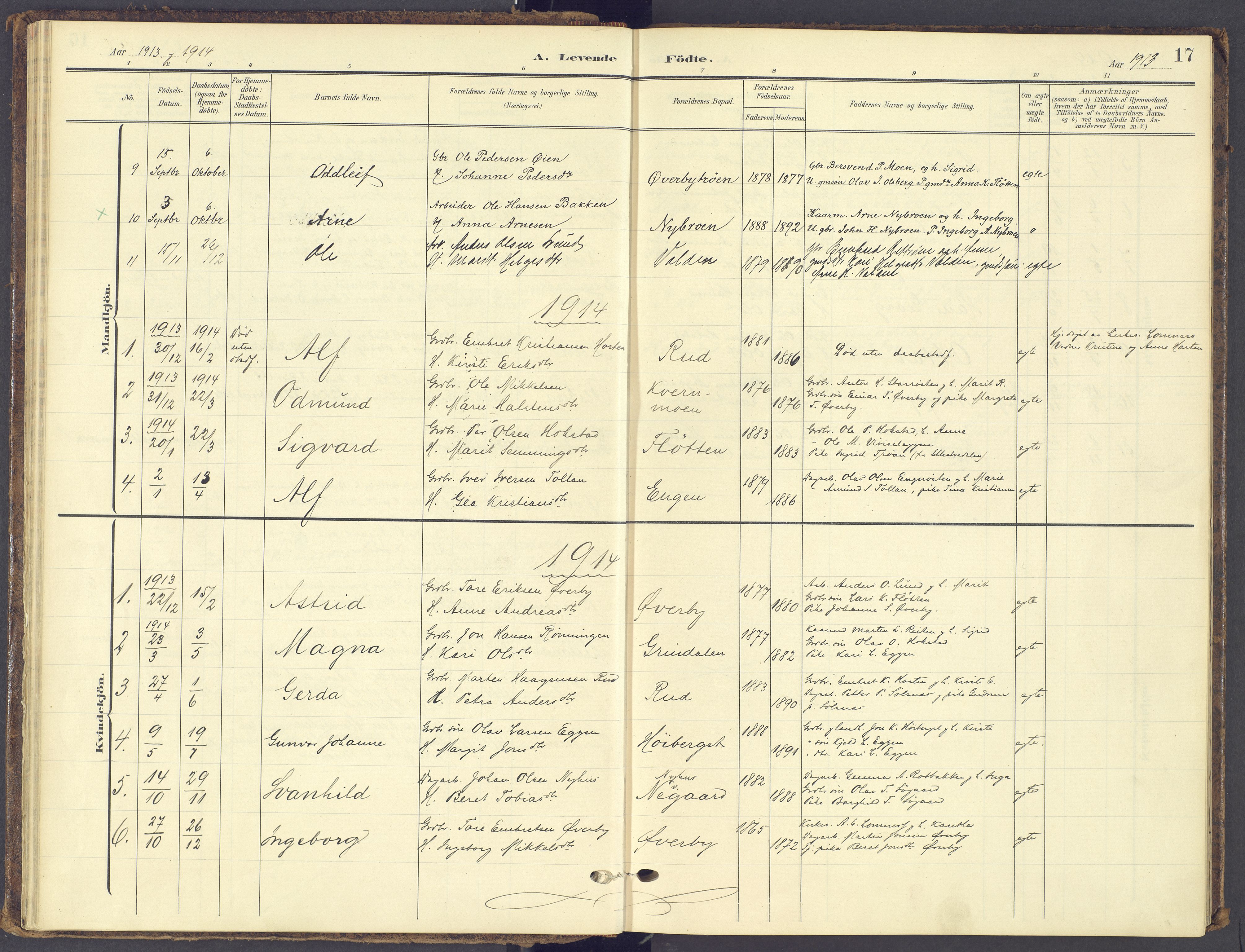 Tynset prestekontor, AV/SAH-PREST-058/H/Ha/Haa/L0028: Ministerialbok nr. 28, 1902-1929, s. 17