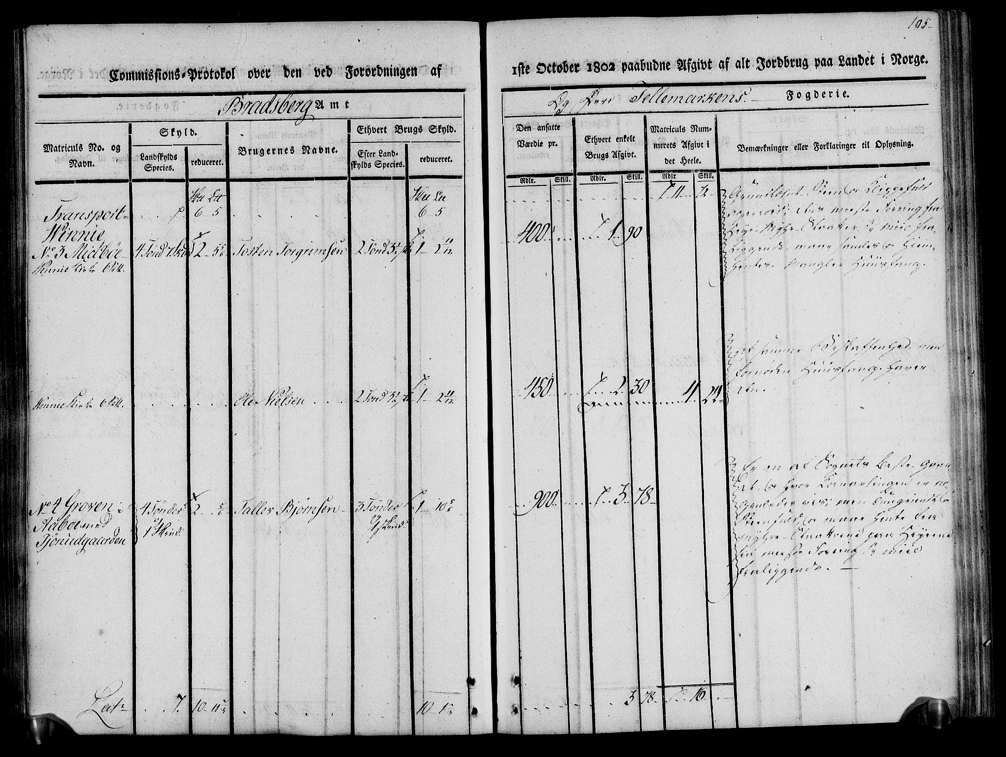 Rentekammeret inntil 1814, Realistisk ordnet avdeling, AV/RA-EA-4070/N/Ne/Nea/L0075: Øvre Telemarken fogderi. Kommisjonsprotokoll for fogderiets vestre del - Kviteseid, Vinje, Moland [):Fyresdal] og Lårdal prestegjeld., 1803, s. 105