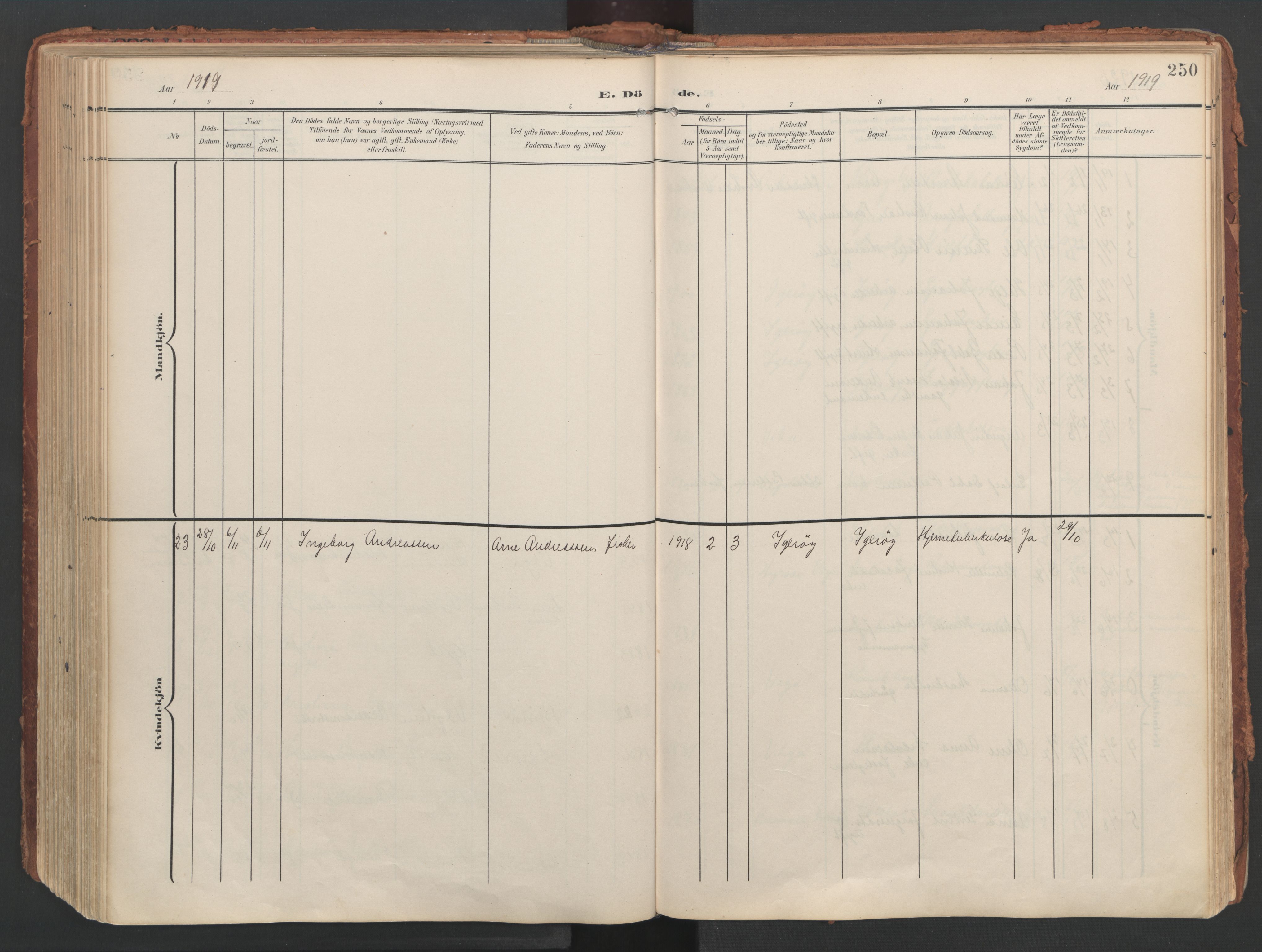 Ministerialprotokoller, klokkerbøker og fødselsregistre - Nordland, AV/SAT-A-1459/816/L0250: Ministerialbok nr. 816A16, 1903-1923, s. 250