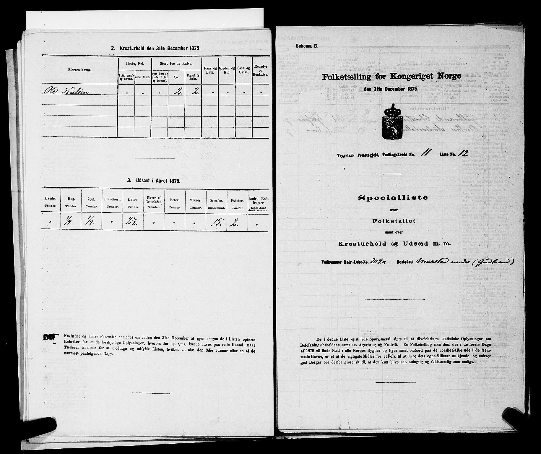 RA, Folketelling 1875 for 0122P Trøgstad prestegjeld, 1875, s. 1244