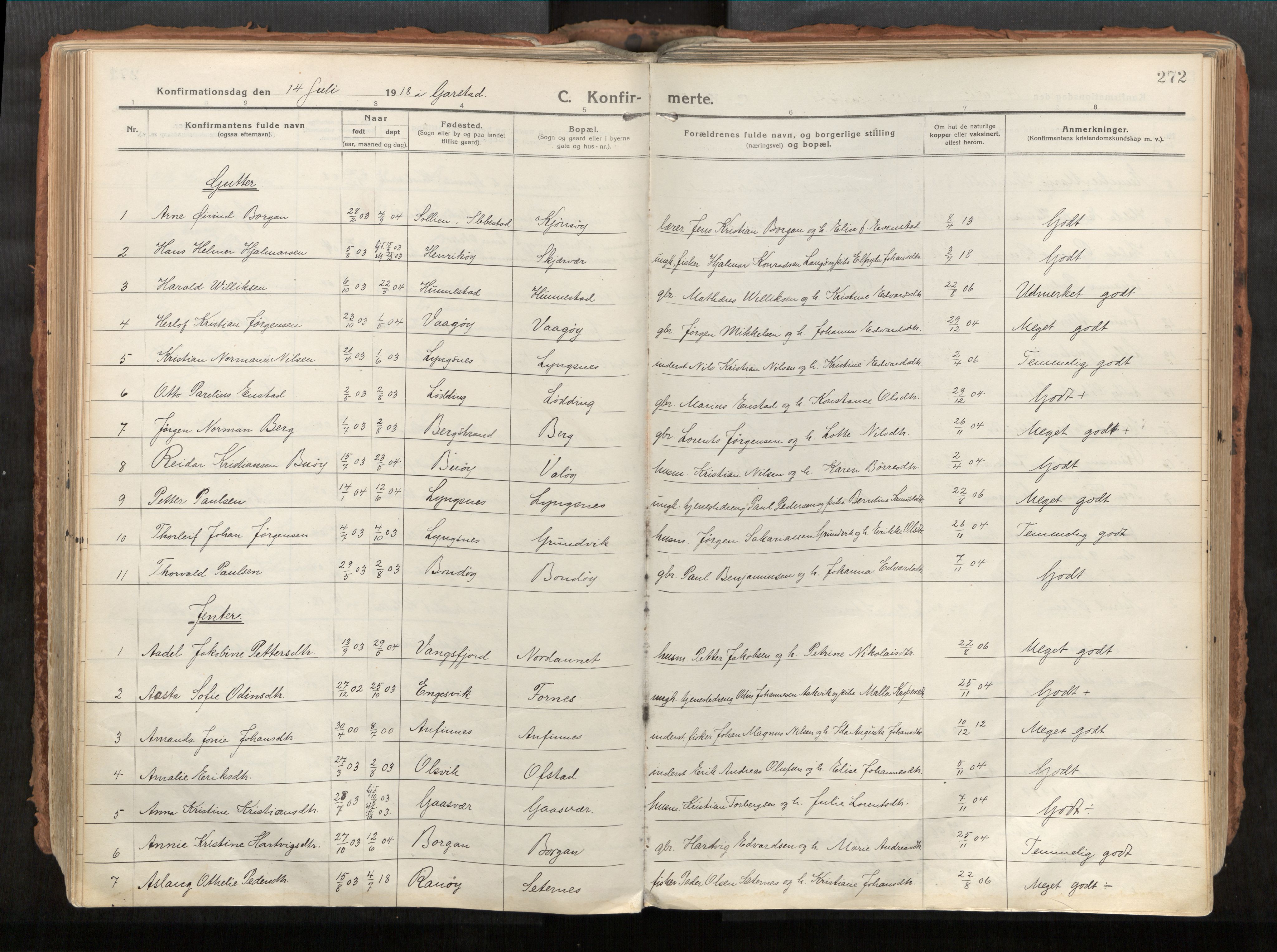 Vikna sokneprestkontor, AV/SAT-A-1173/1/I/I1/I1a/L0001: Ministerialbok nr. 1, 1913-1934, s. 272