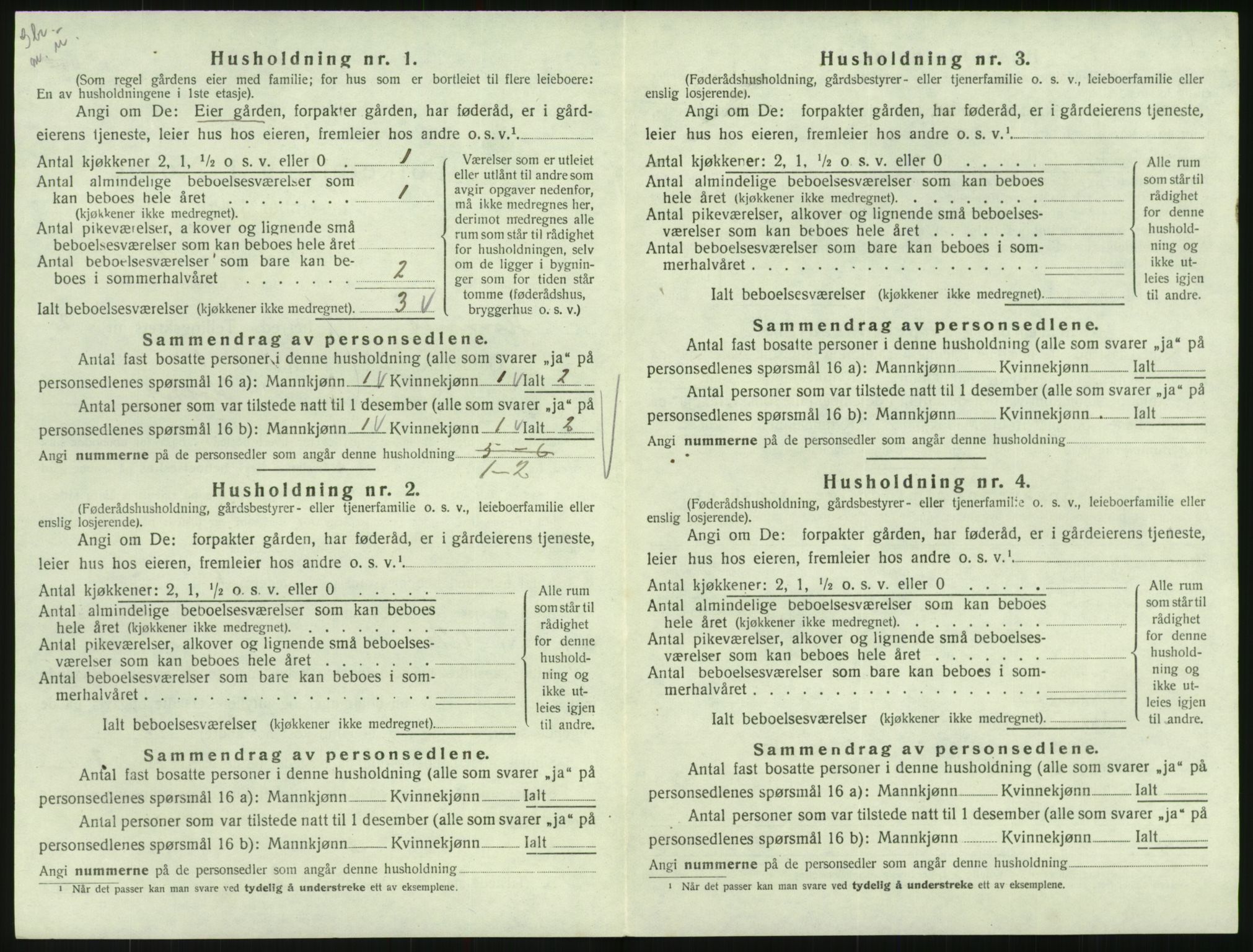 SAK, Folketelling 1920 for 0936 Hornnes herred, 1920, s. 94