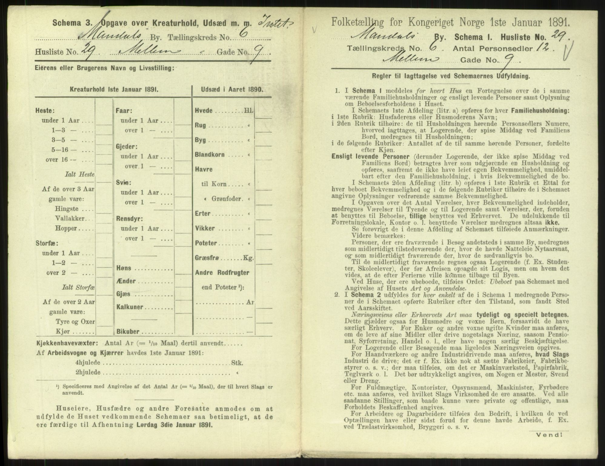 RA, Folketelling 1891 for 1002 Mandal ladested, 1891, s. 355