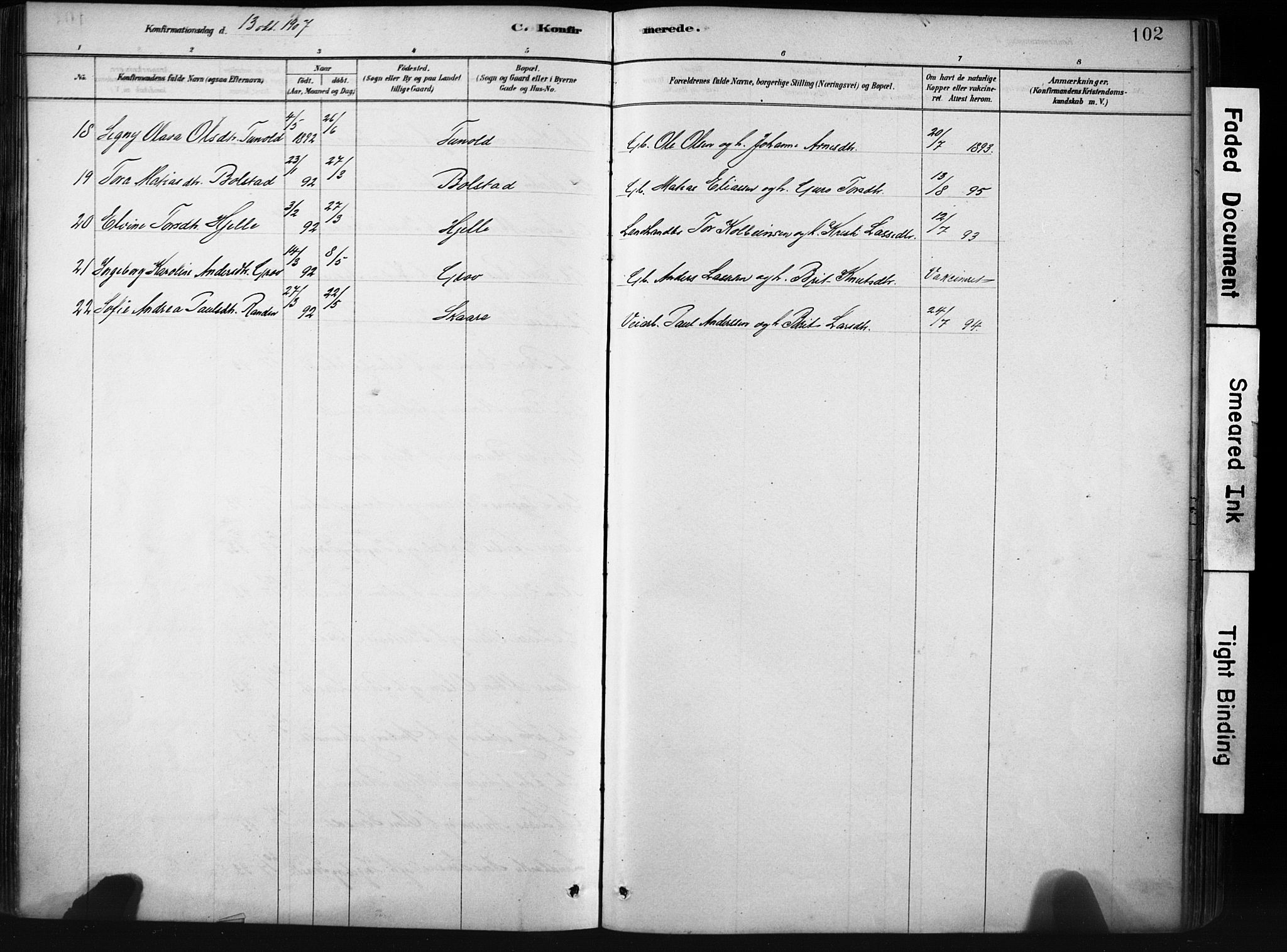 Stryn Sokneprestembete, AV/SAB-A-82501: Ministerialbok nr. D 1, 1878-1907, s. 102