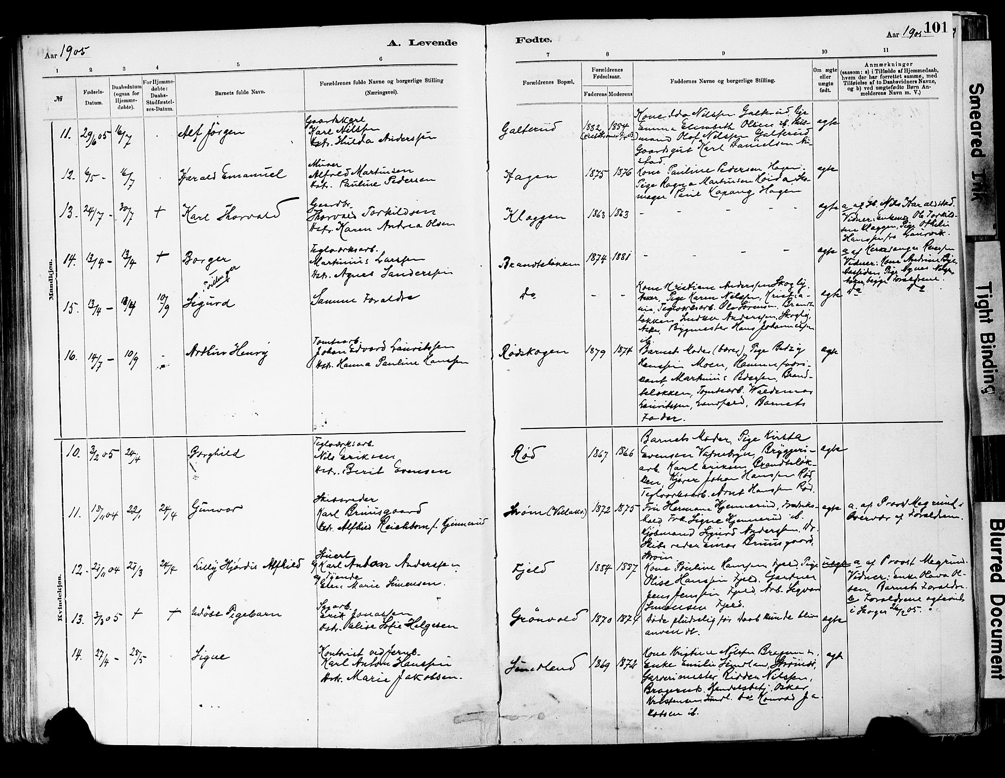 Strømsgodset kirkebøker, AV/SAKO-A-324/F/Fa/L0001: Ministerialbok nr. 1, 1885-1909, s. 101