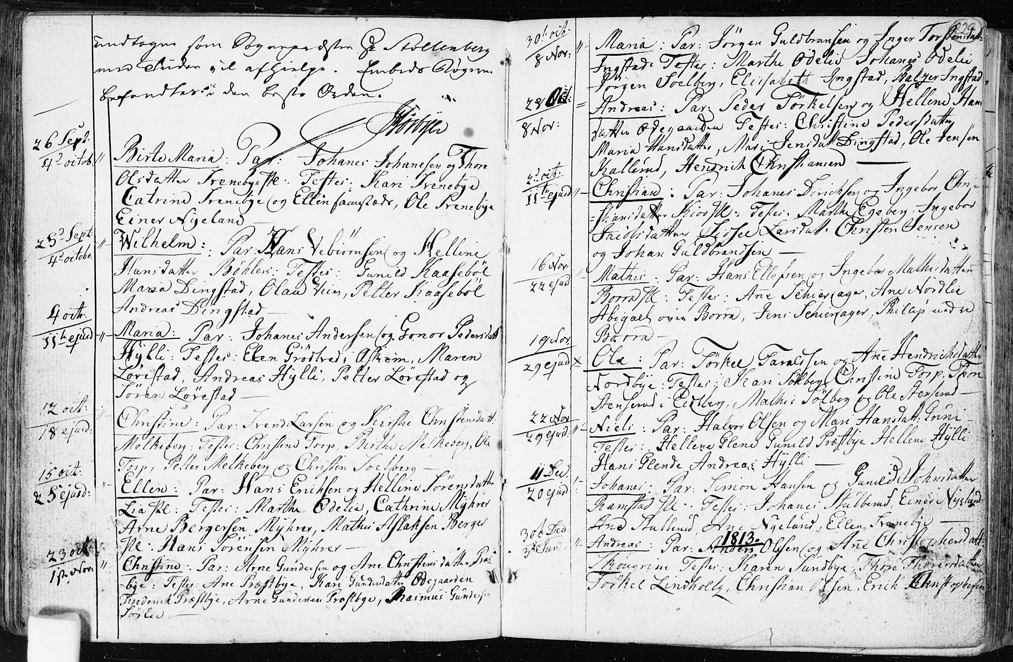 Spydeberg prestekontor Kirkebøker, SAO/A-10924/F/Fa/L0003: Ministerialbok nr. I 3, 1778-1814, s. 229