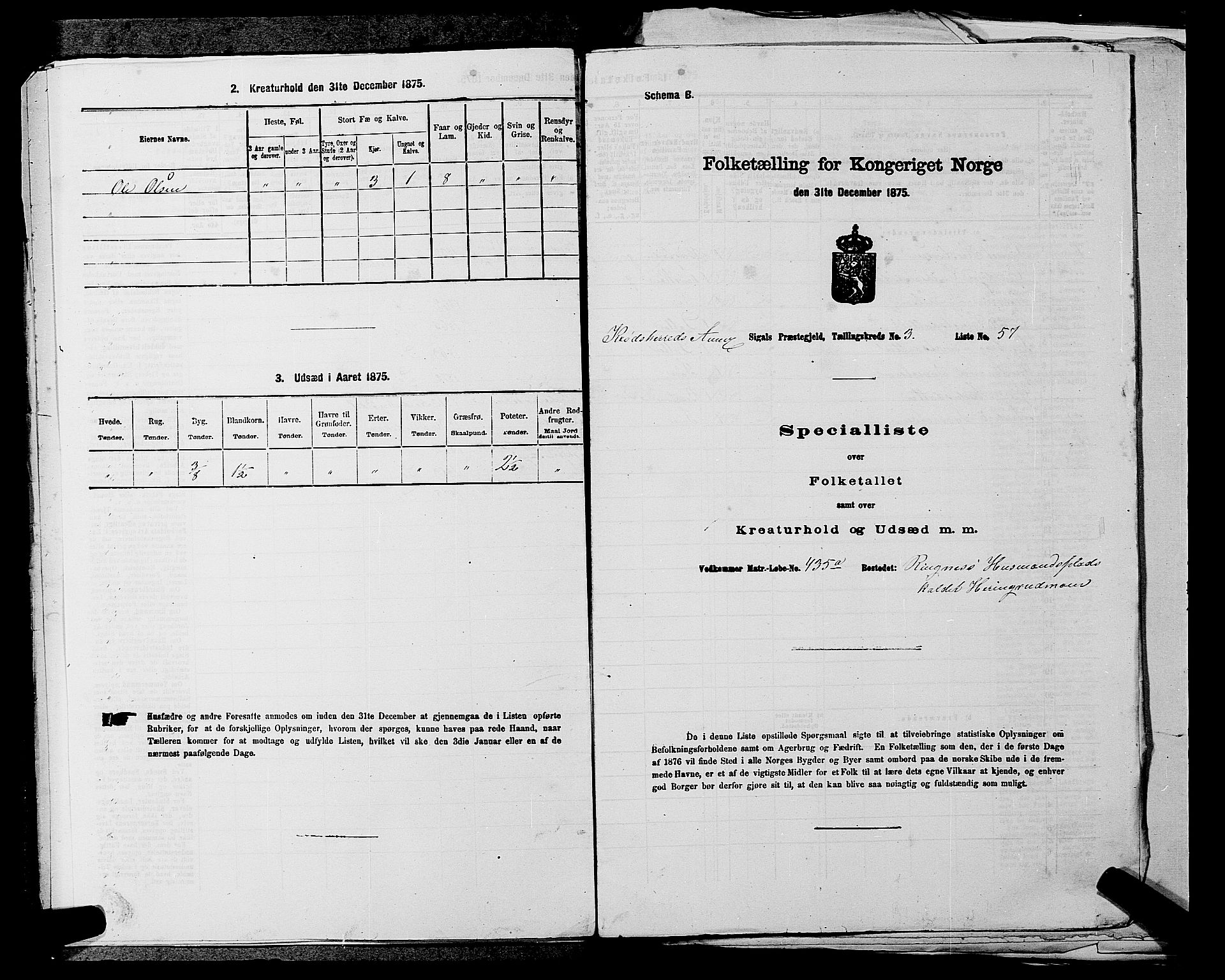 SAKO, Folketelling 1875 for 0621P Sigdal prestegjeld, 1875, s. 1594