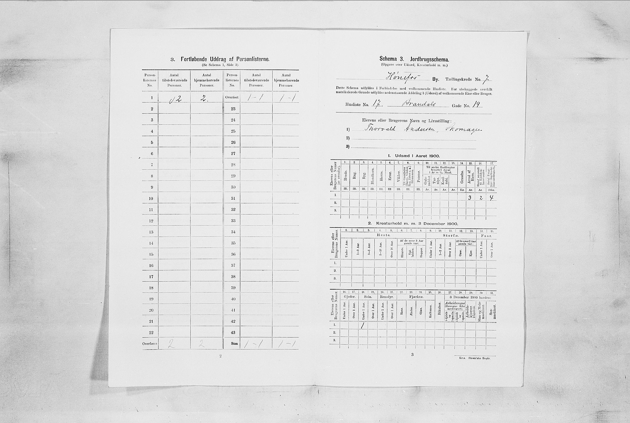 RA, Folketelling 1900 for 0601 Hønefoss kjøpstad, 1900, s. 714