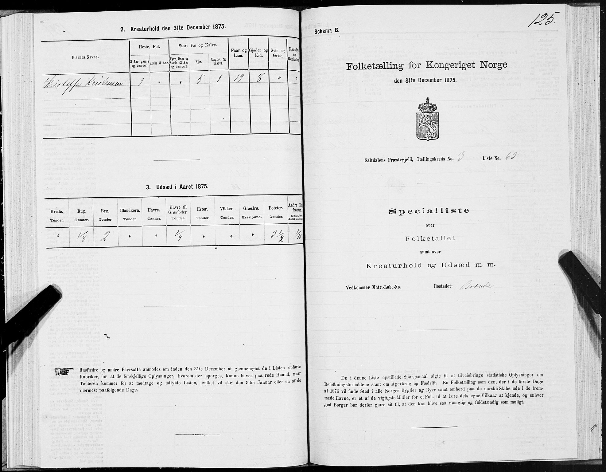 SAT, Folketelling 1875 for 1840P Saltdal prestegjeld, 1875, s. 2125