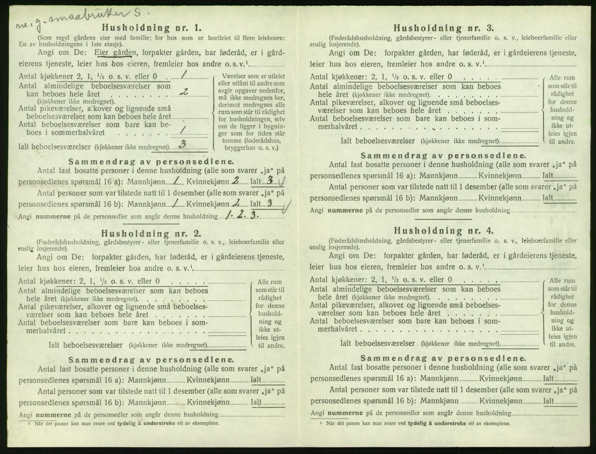 SAT, Folketelling 1920 for 1529 Skodje herred, 1920, s. 596