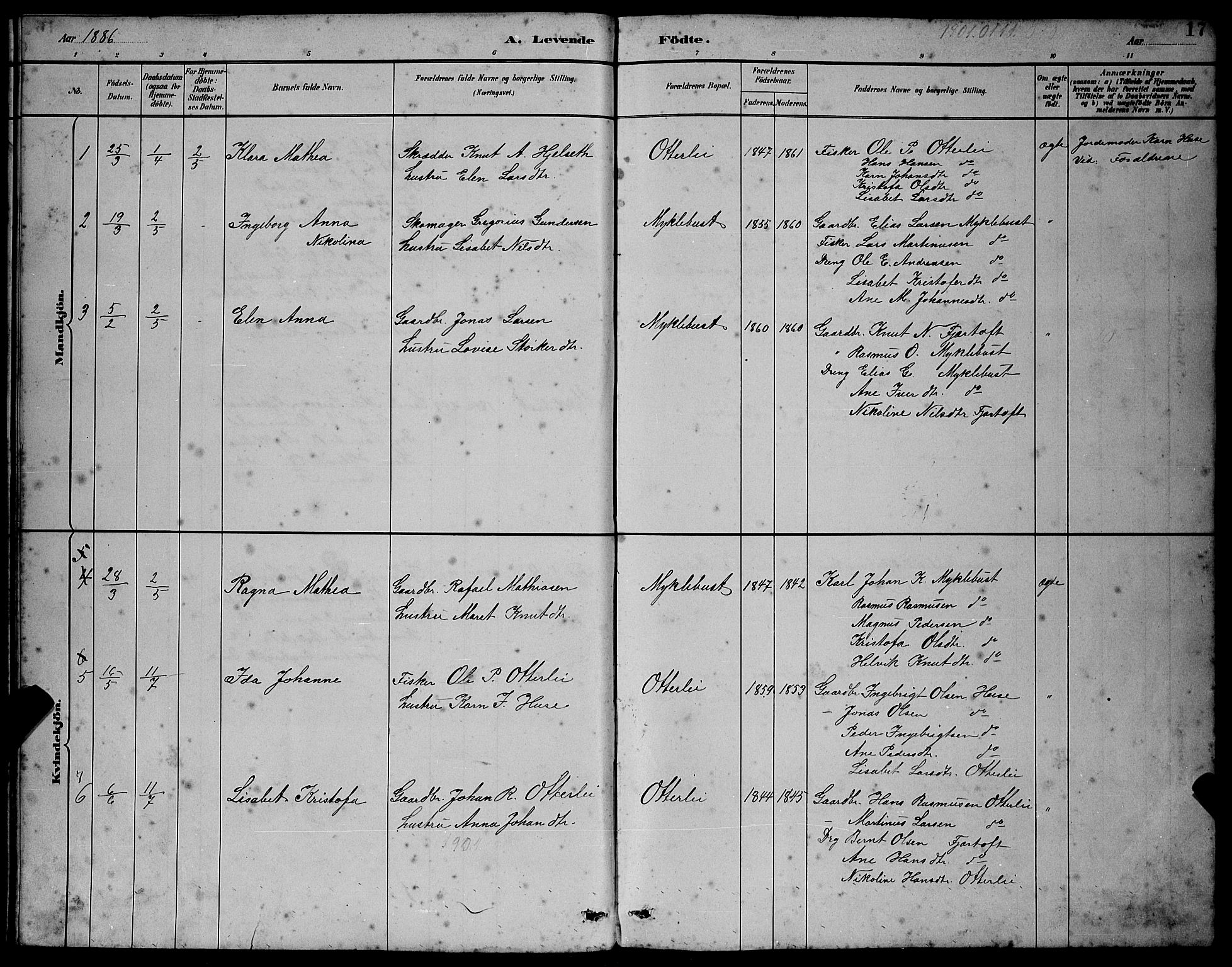 Ministerialprotokoller, klokkerbøker og fødselsregistre - Møre og Romsdal, AV/SAT-A-1454/538/L0523: Klokkerbok nr. 538C01, 1881-1900, s. 17